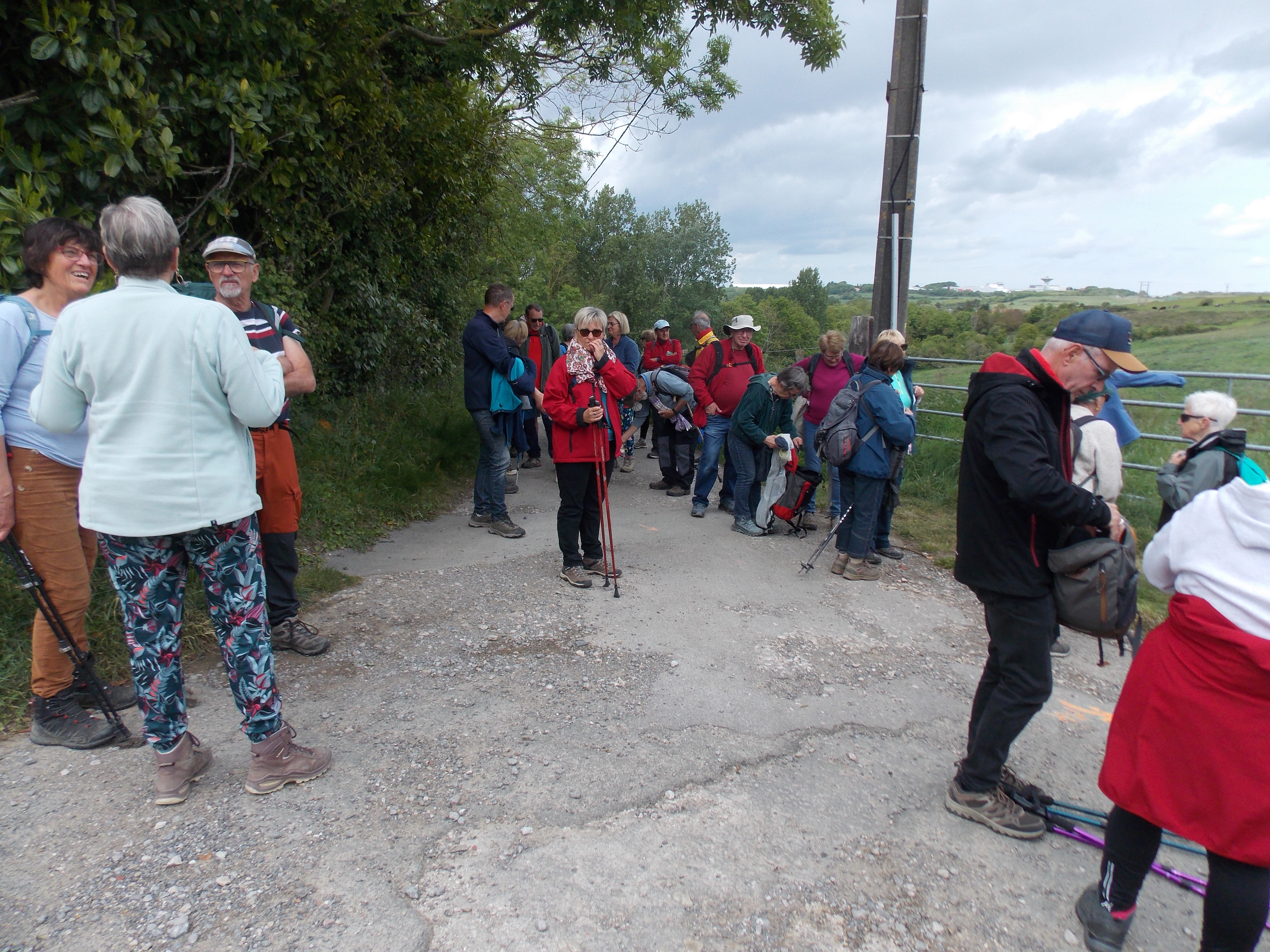 Image 253