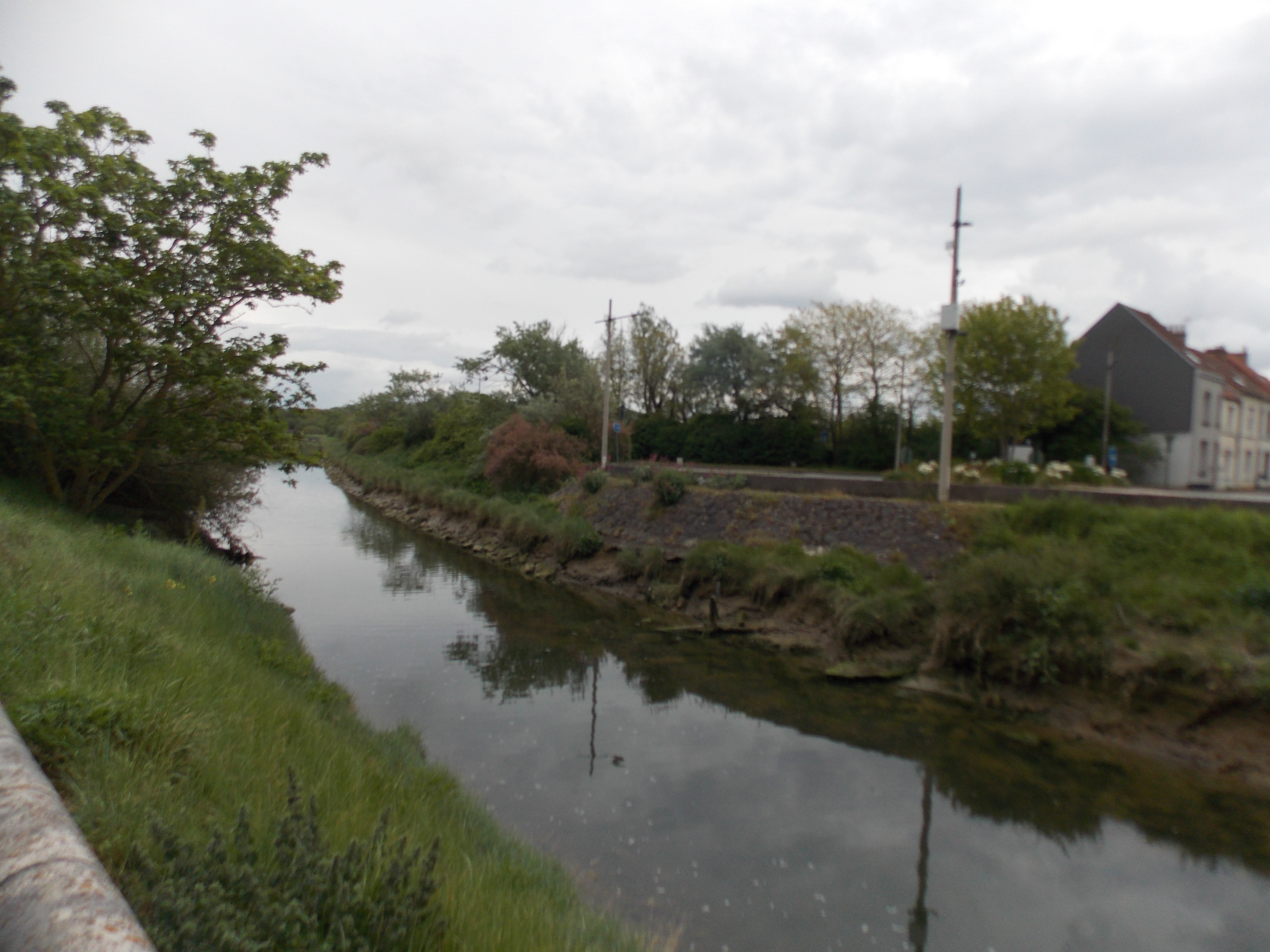 Image 173