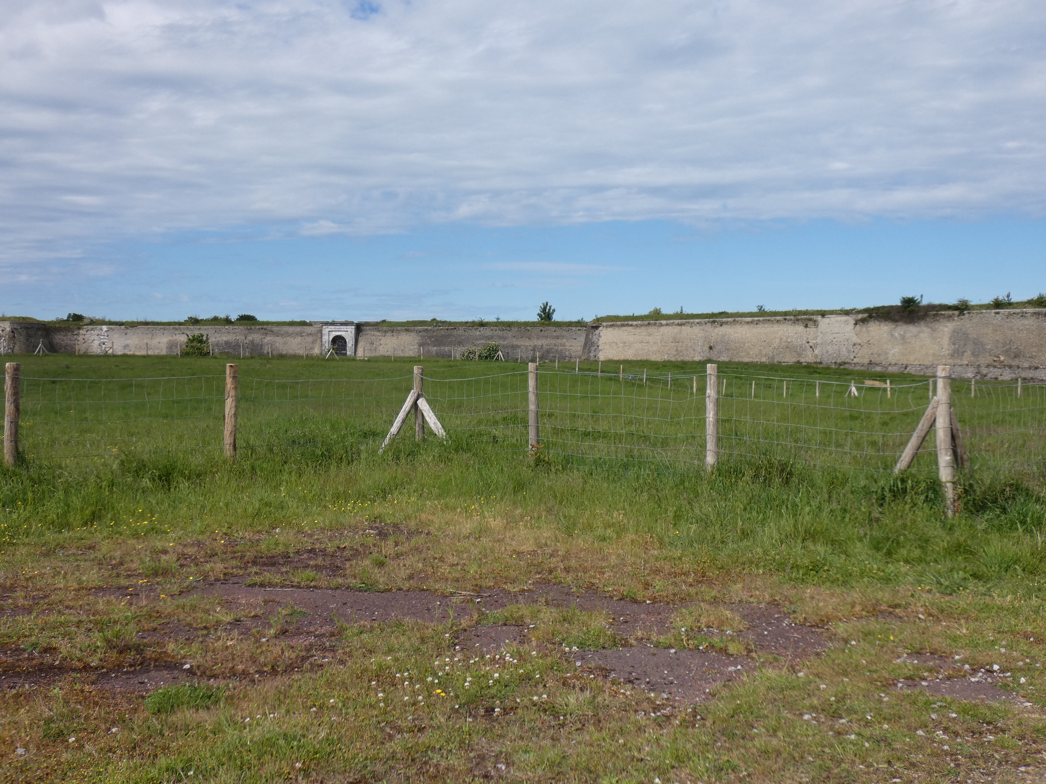 Image 116