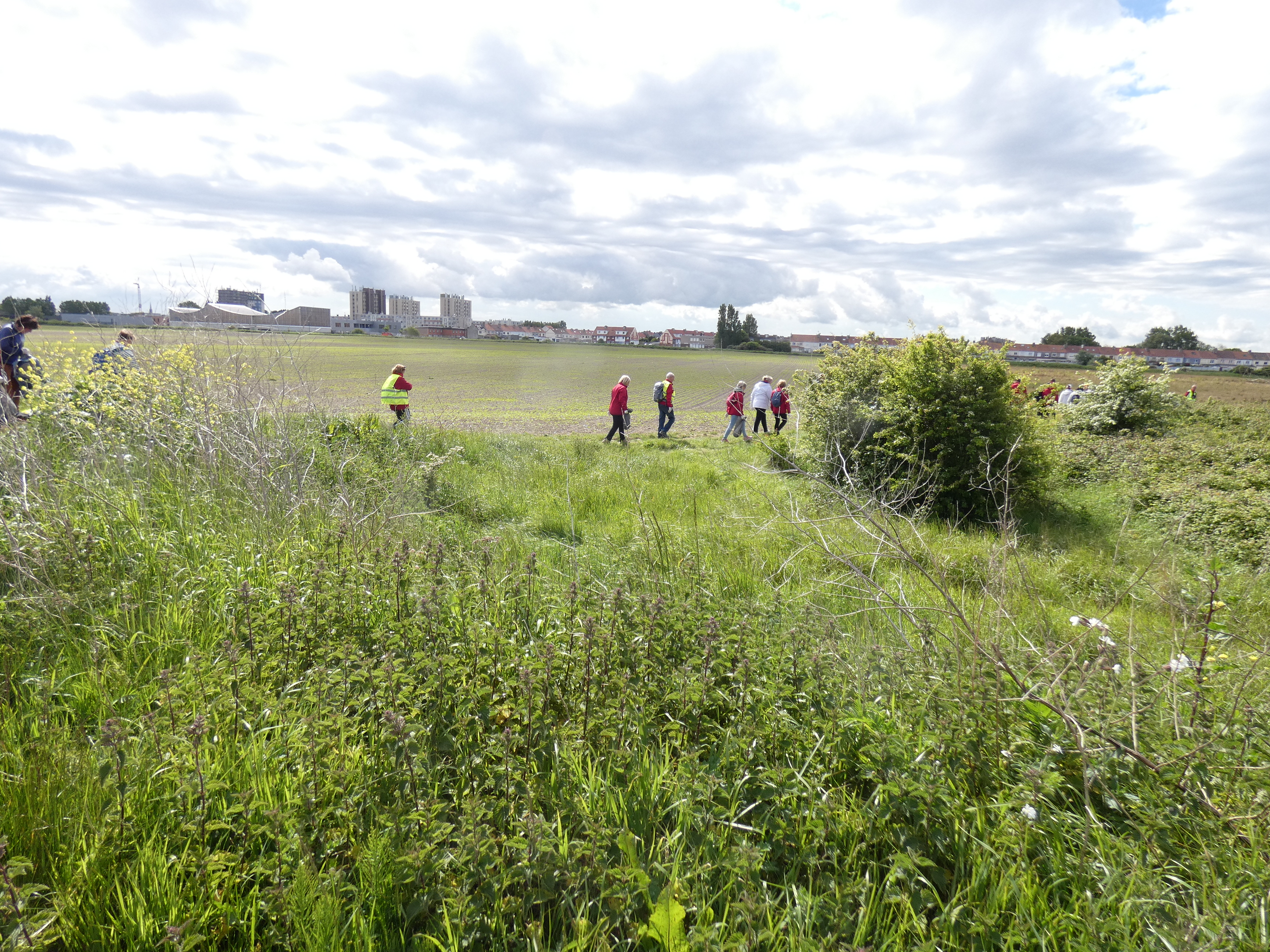 Image 373