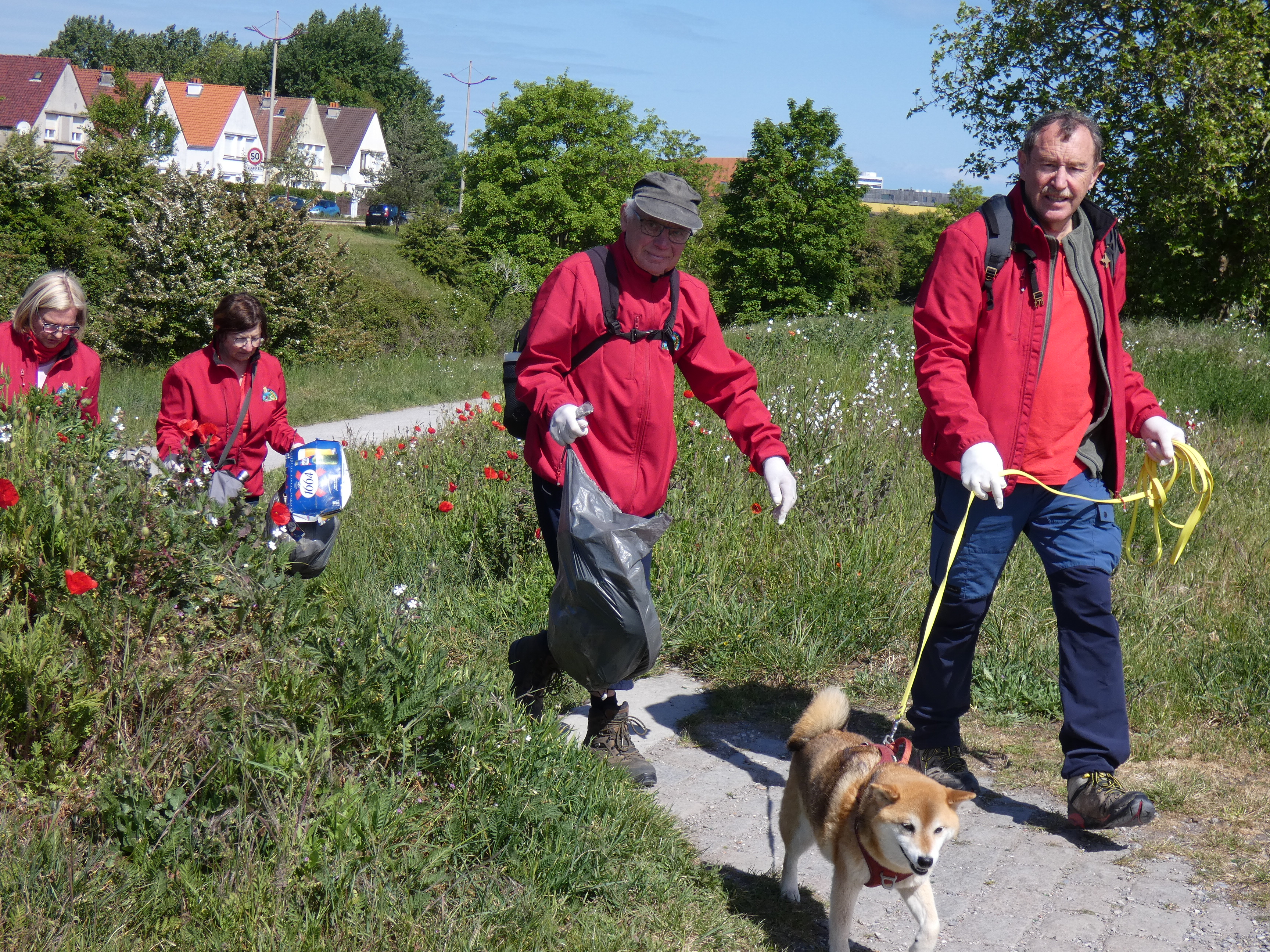 Image 91
