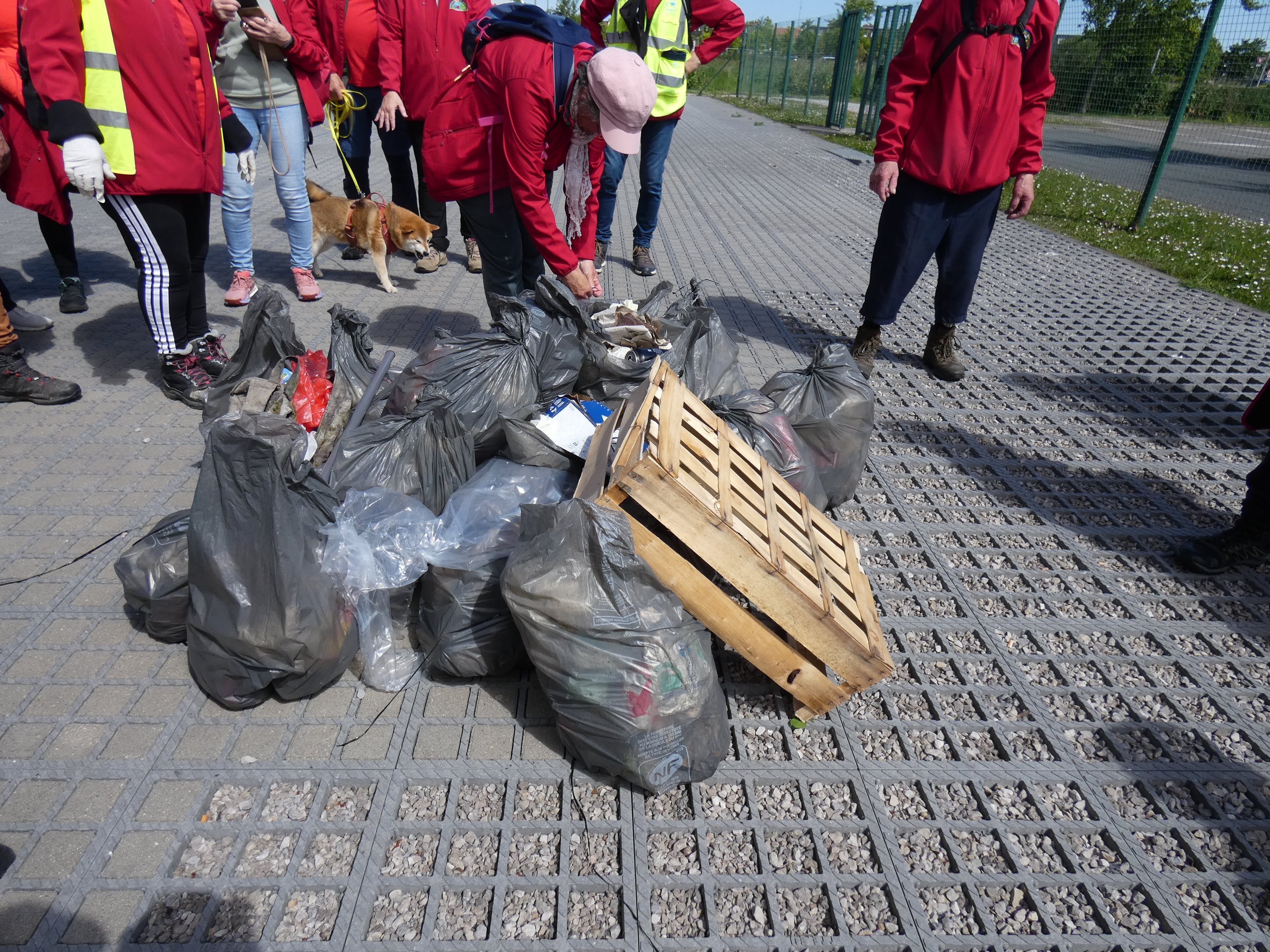 Image 111