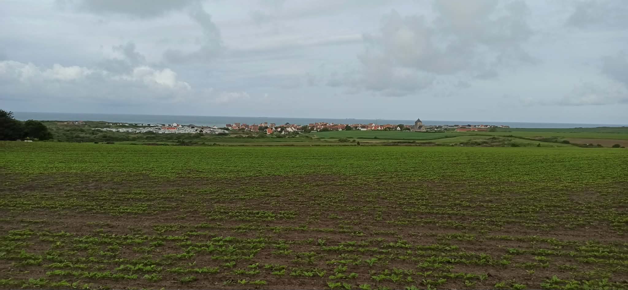 Image 80