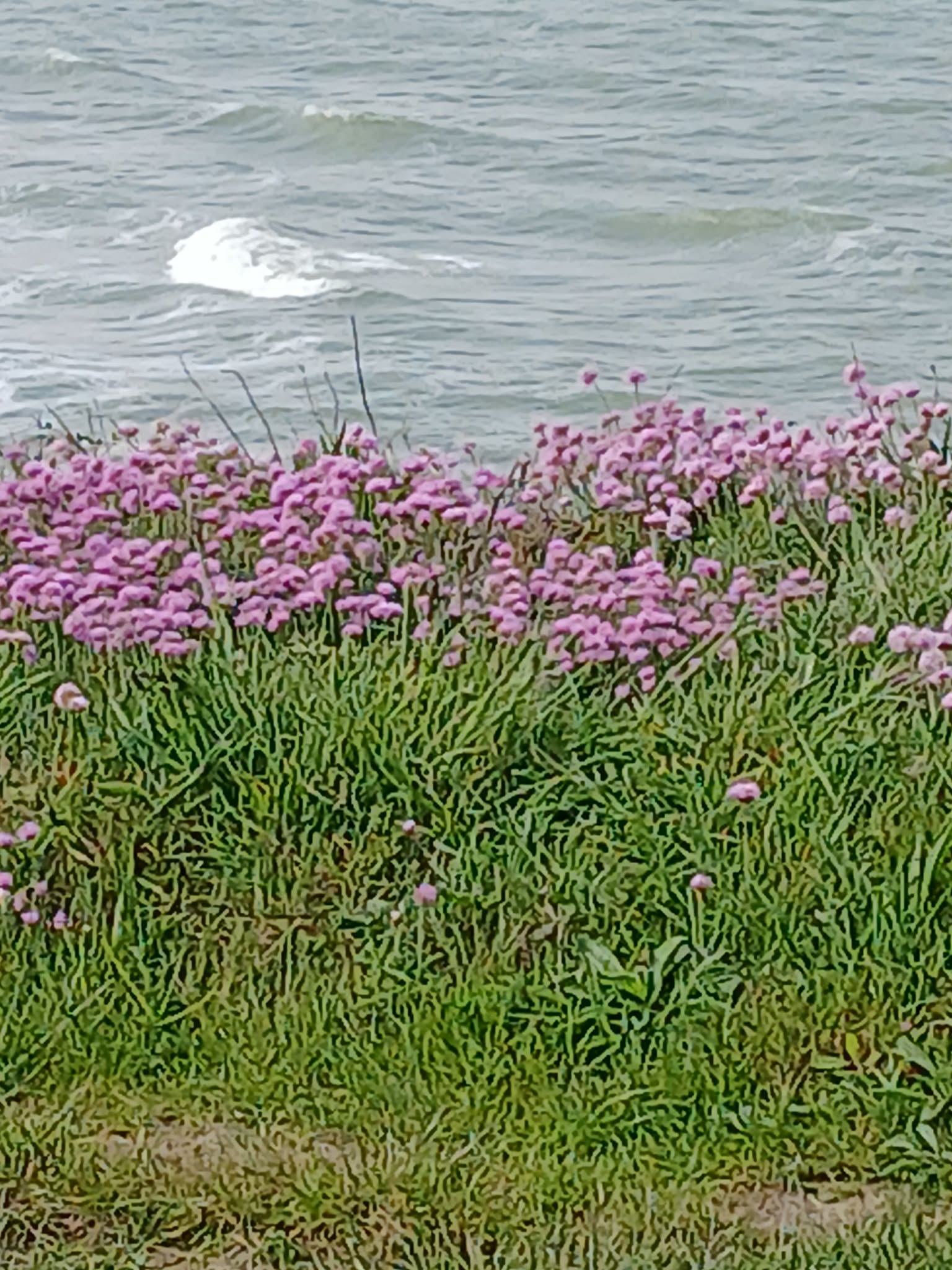 Image 109