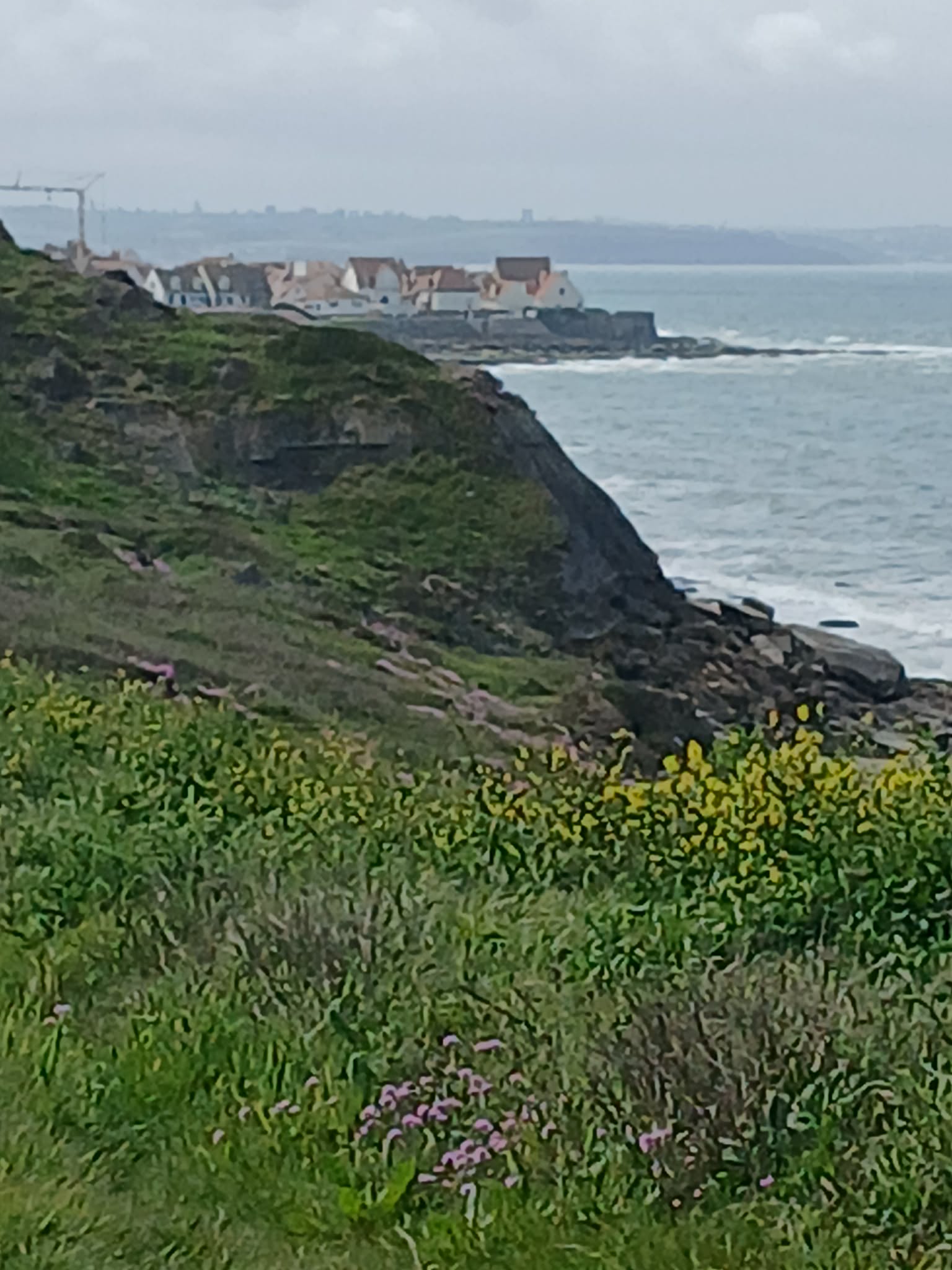 Image 308