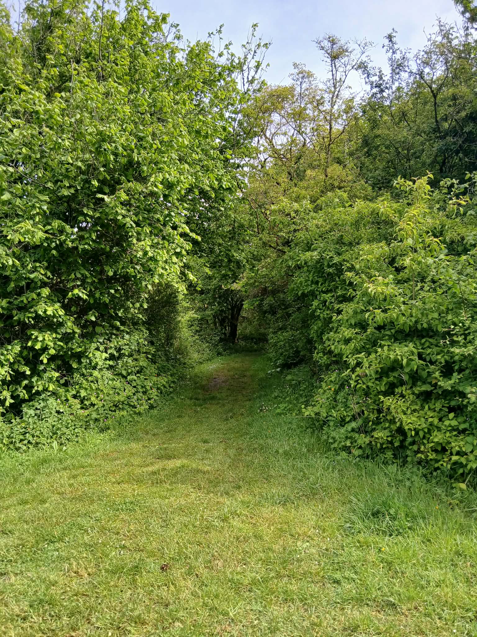Image 77