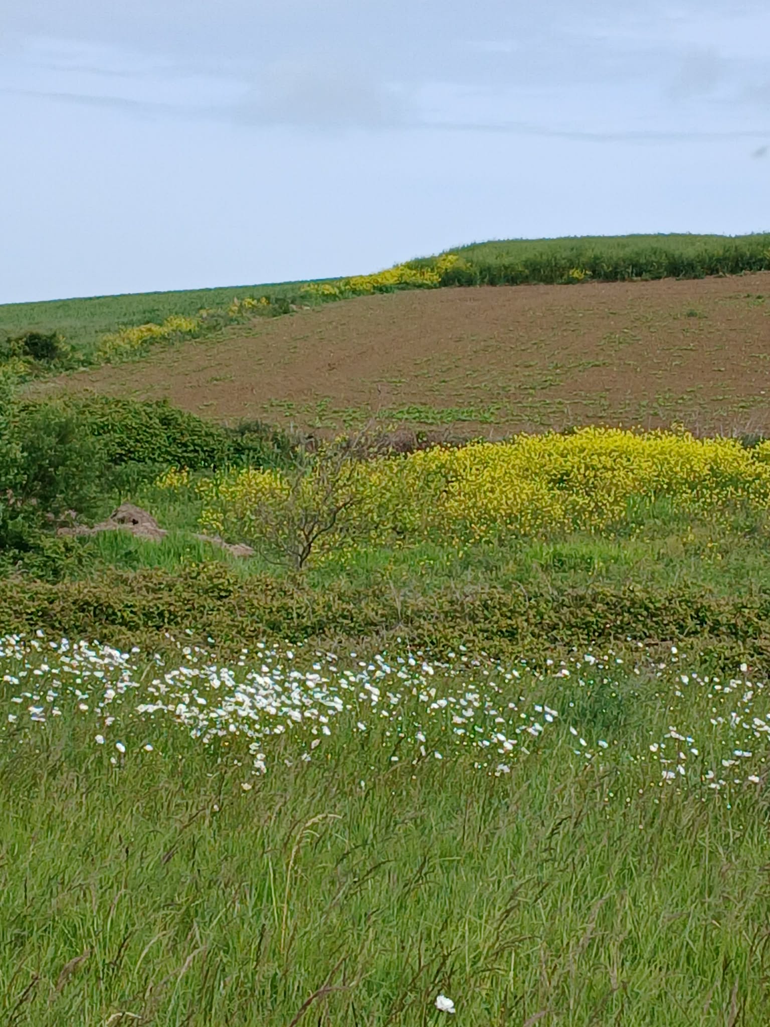 Image 183