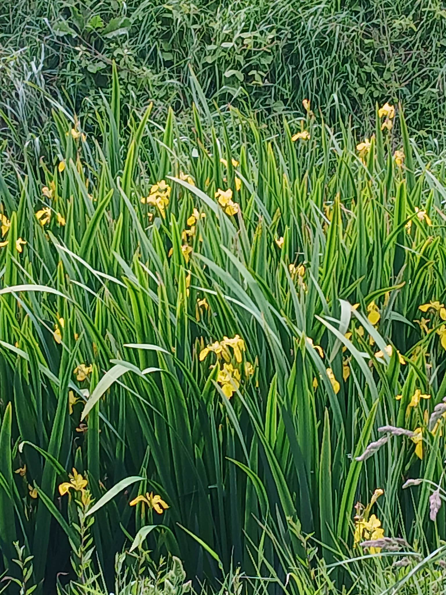 Image 144