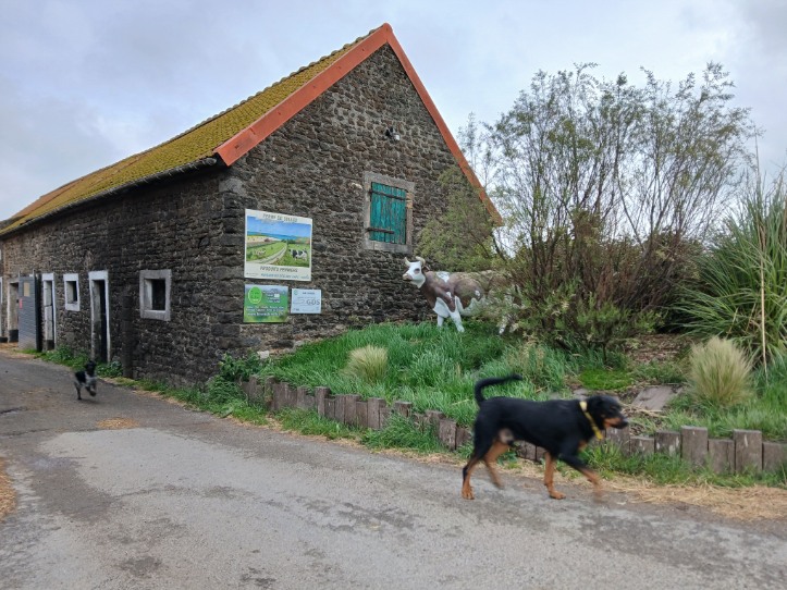 Image 403