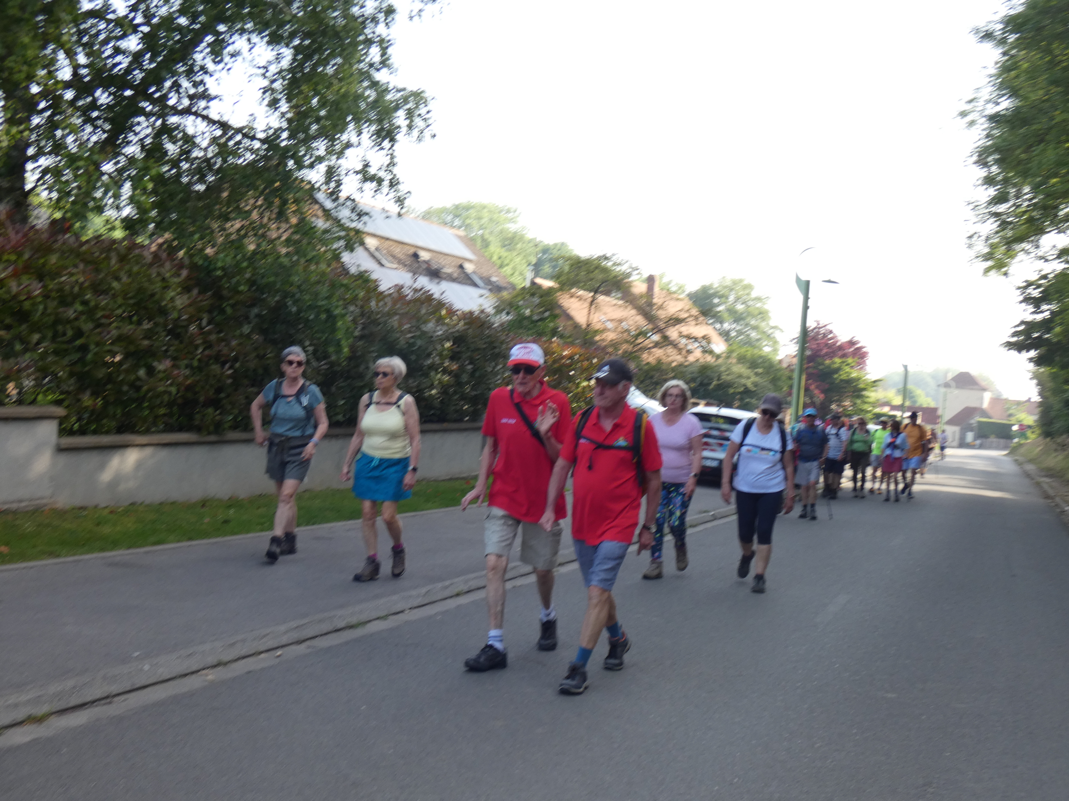 Image 251