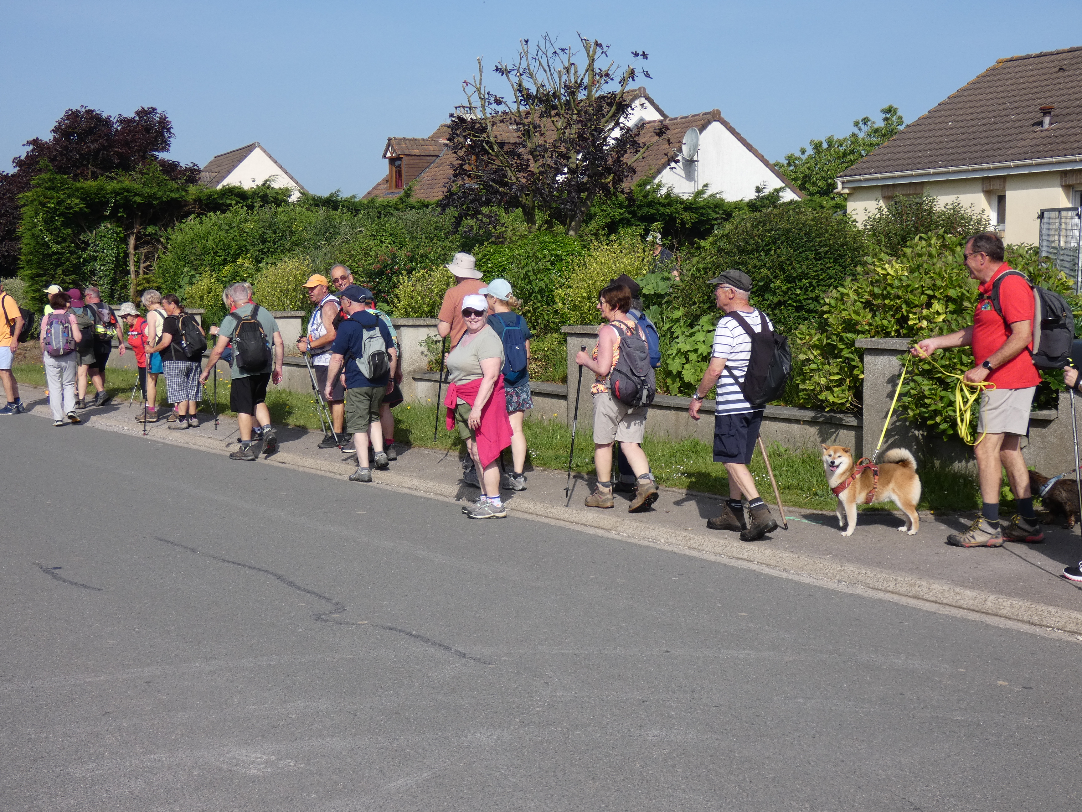 Image 163