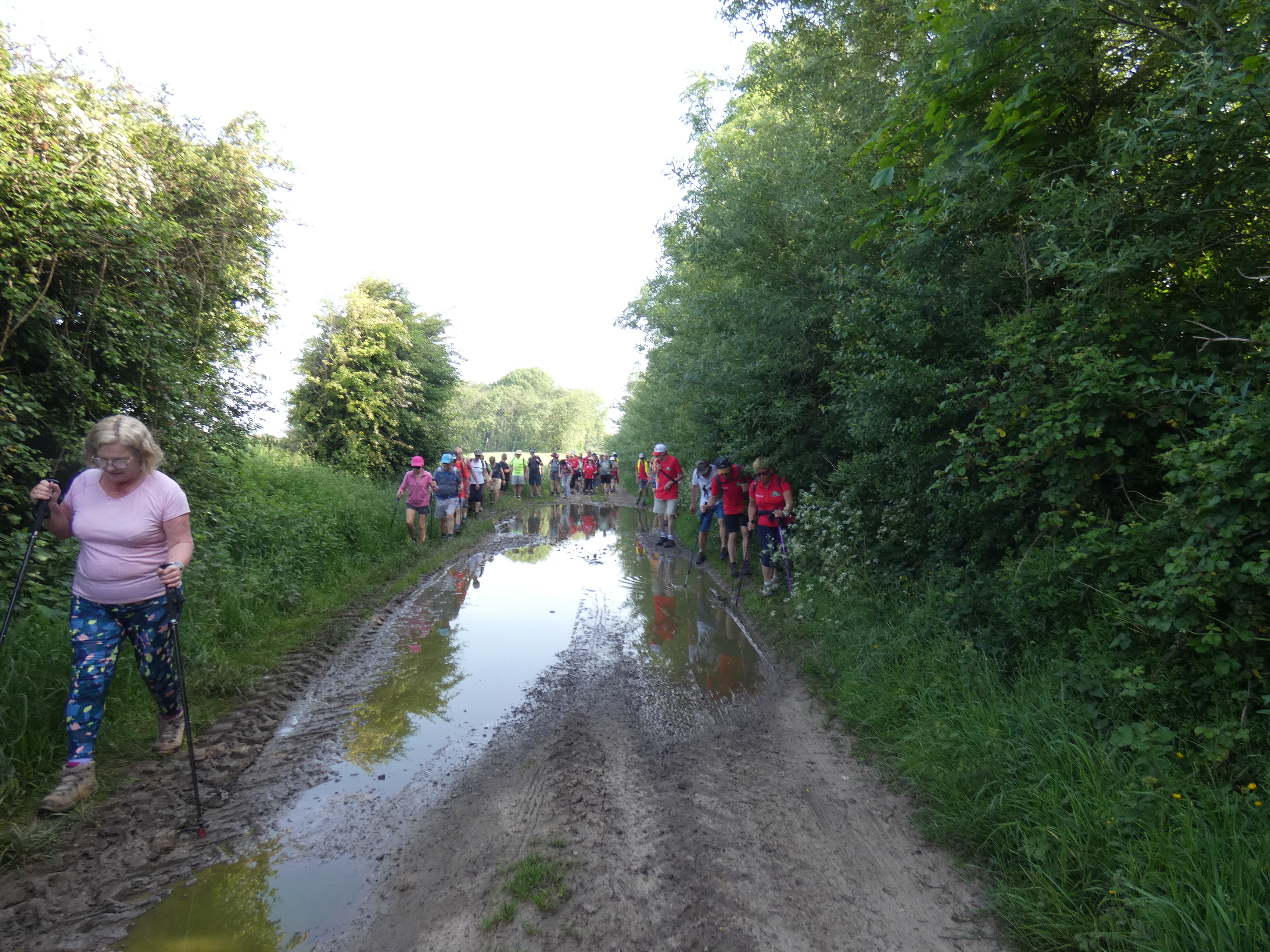 Image 91