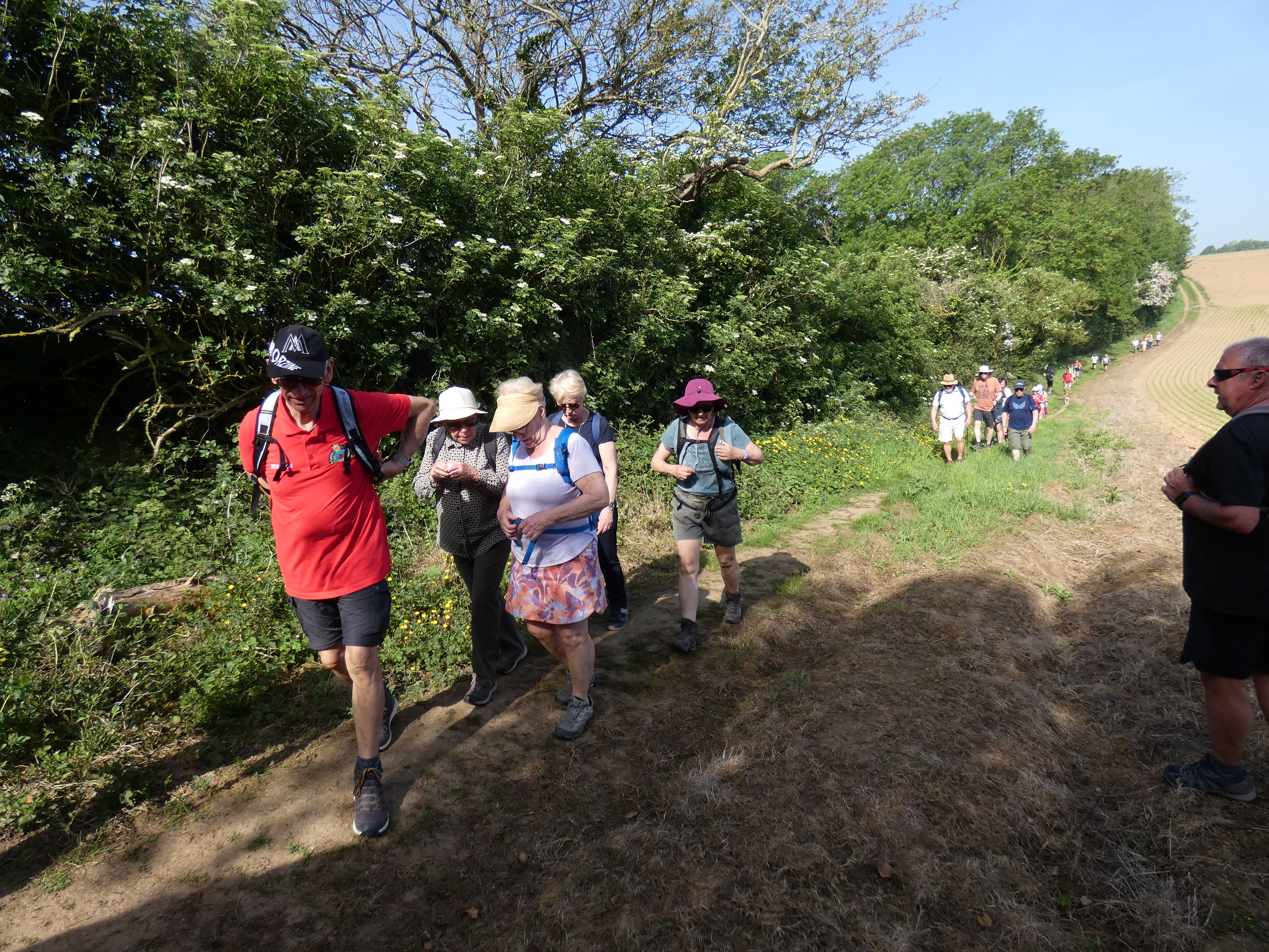 Image 140