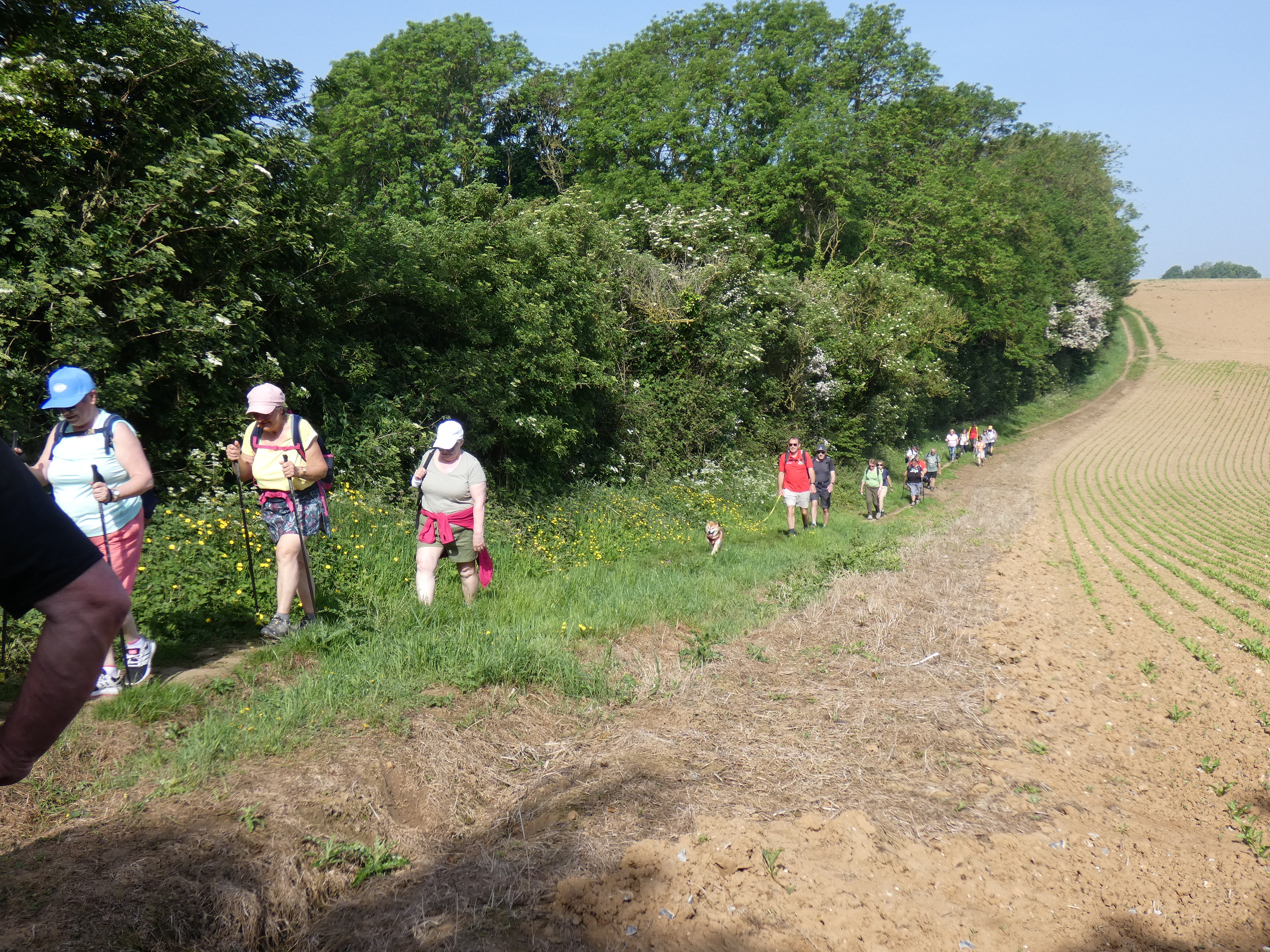 Image 80