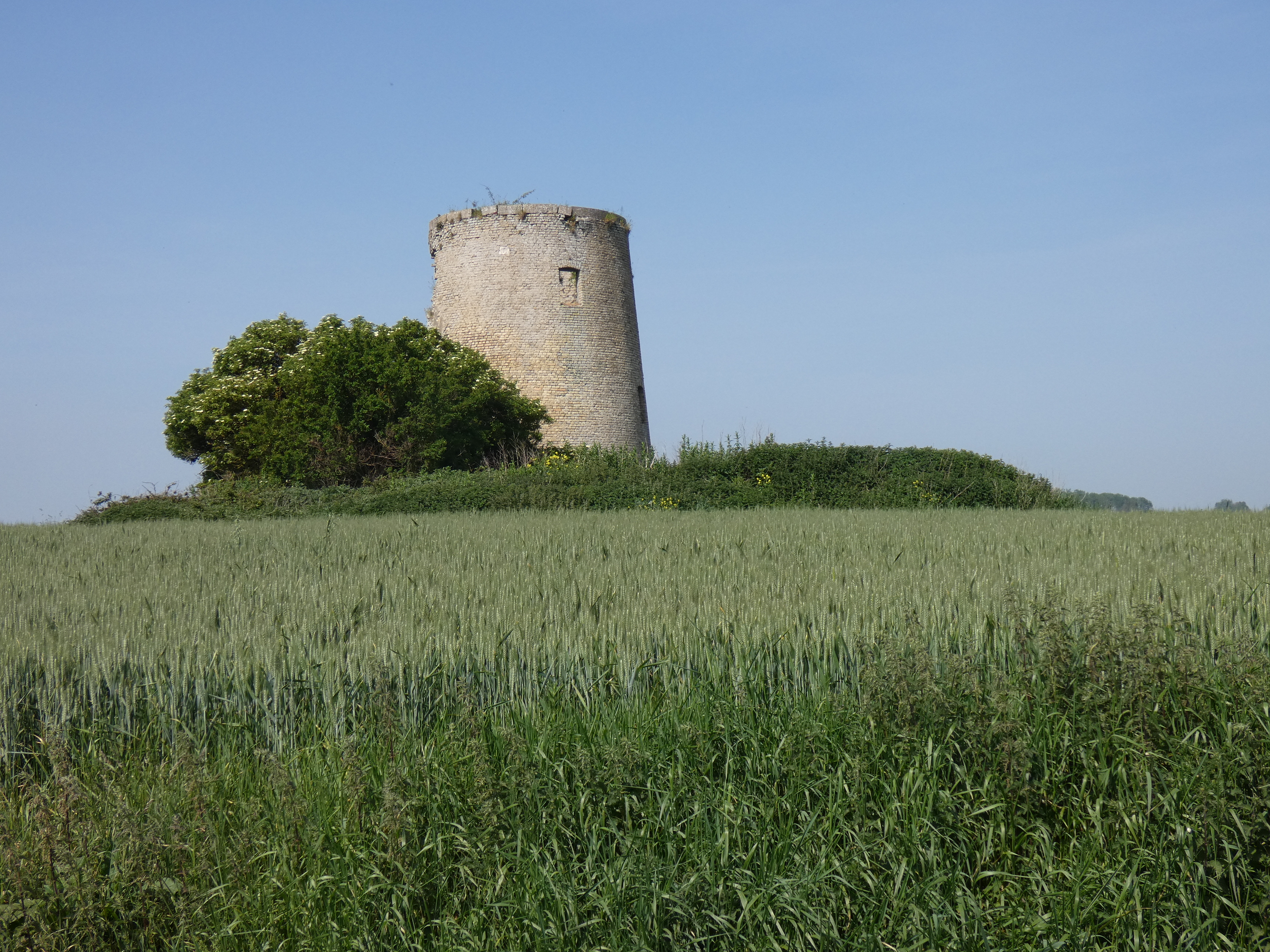 Image 64
