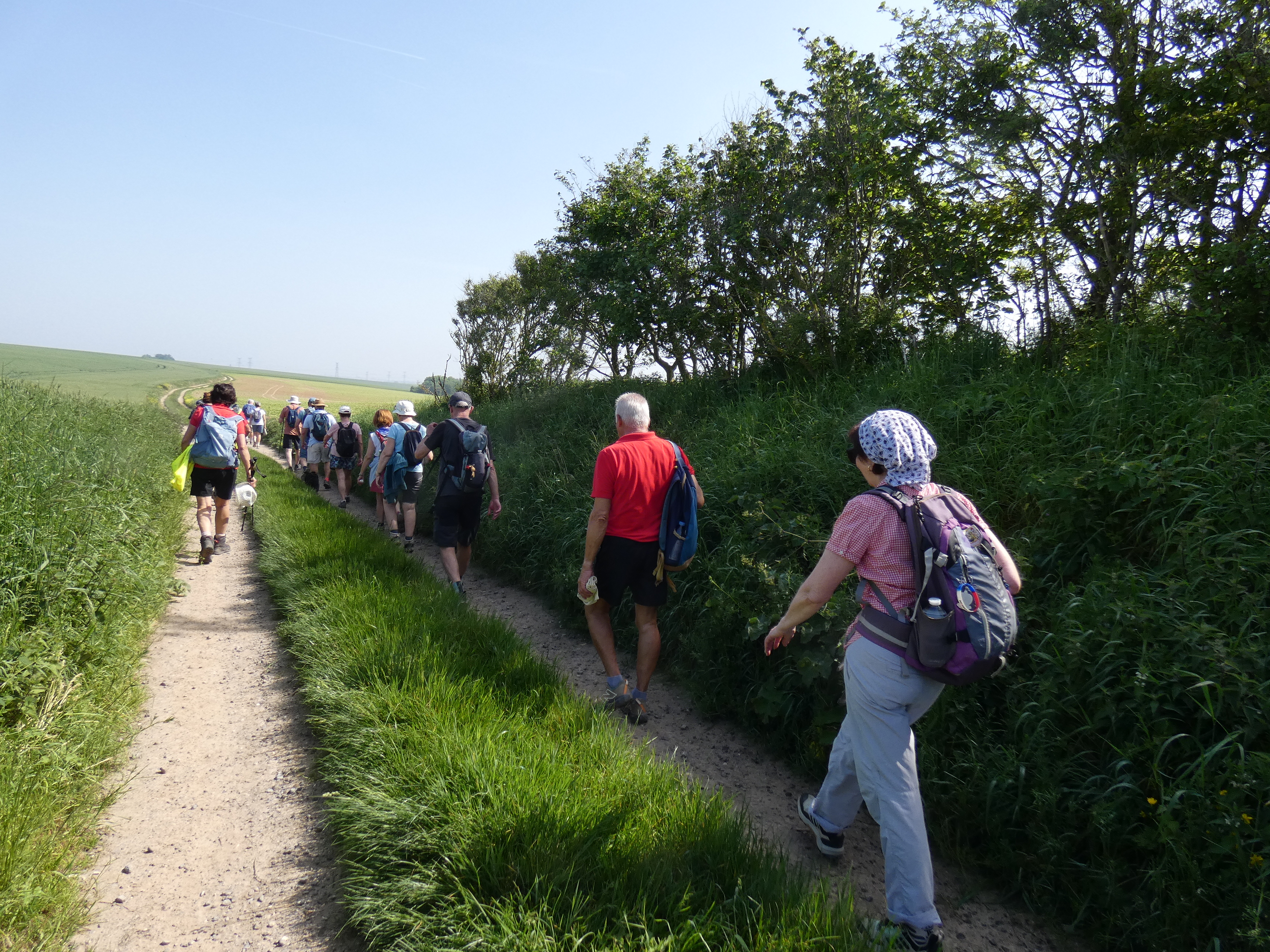 Image 281
