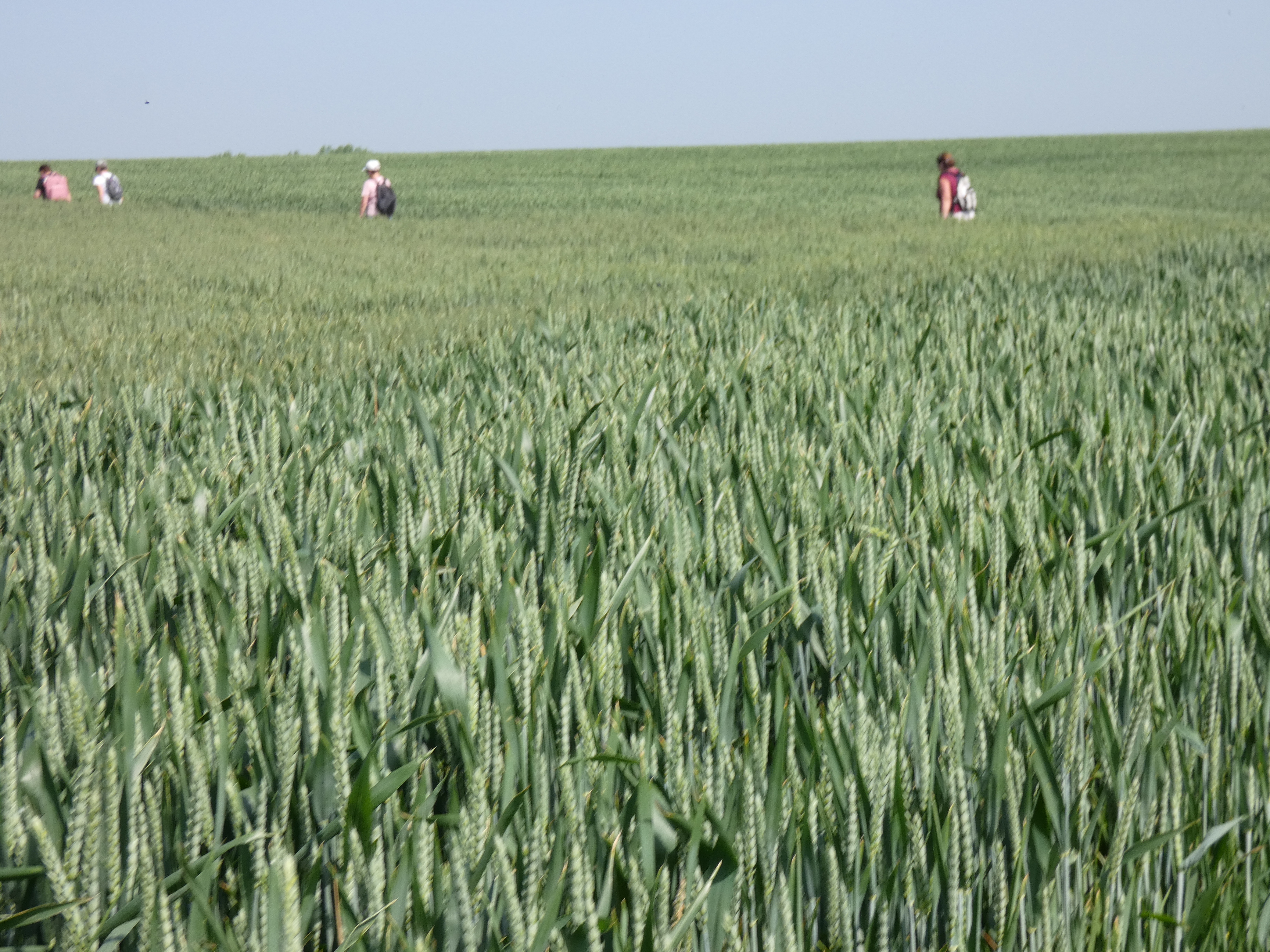 Image 110