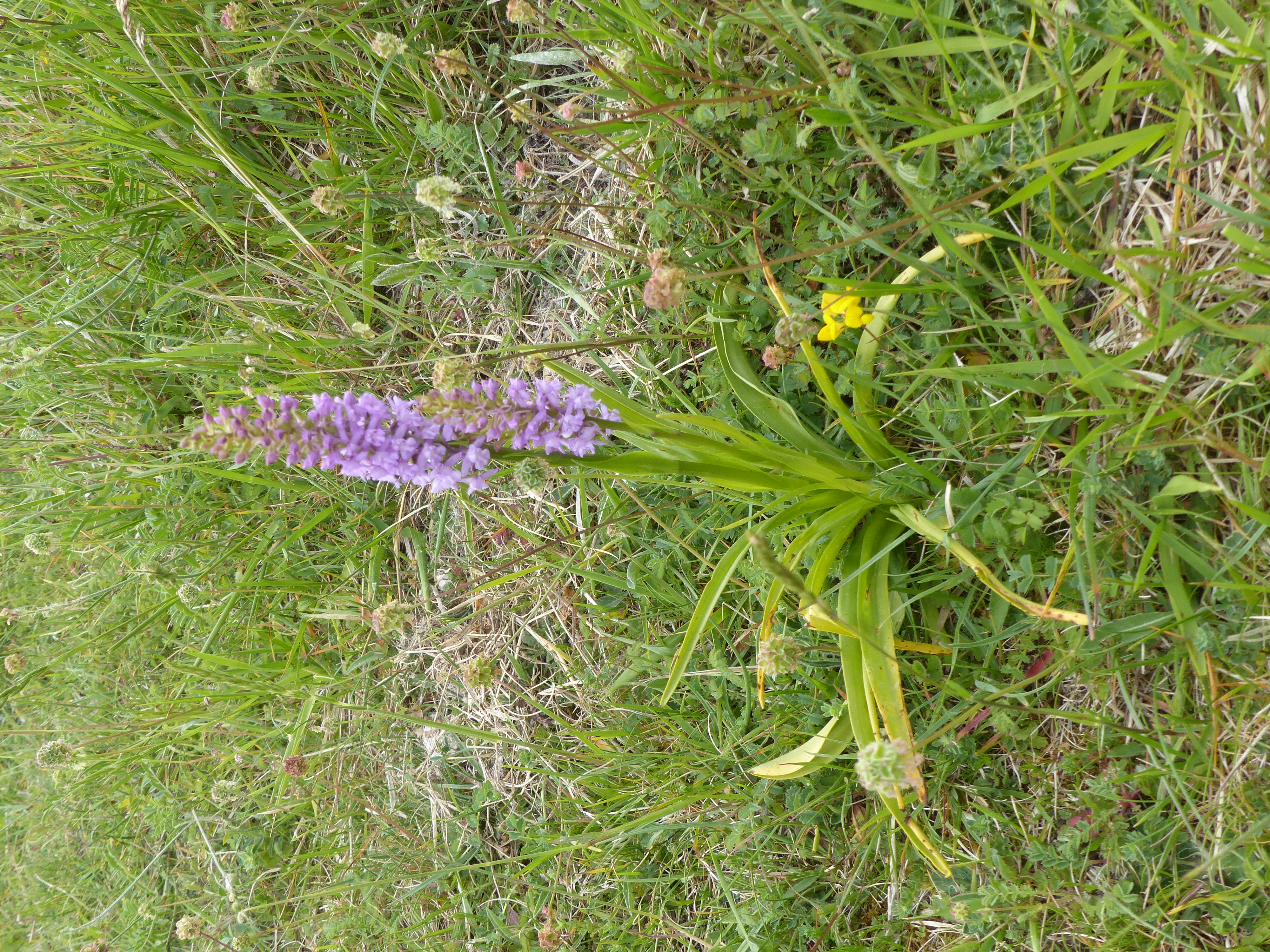 Image 347
