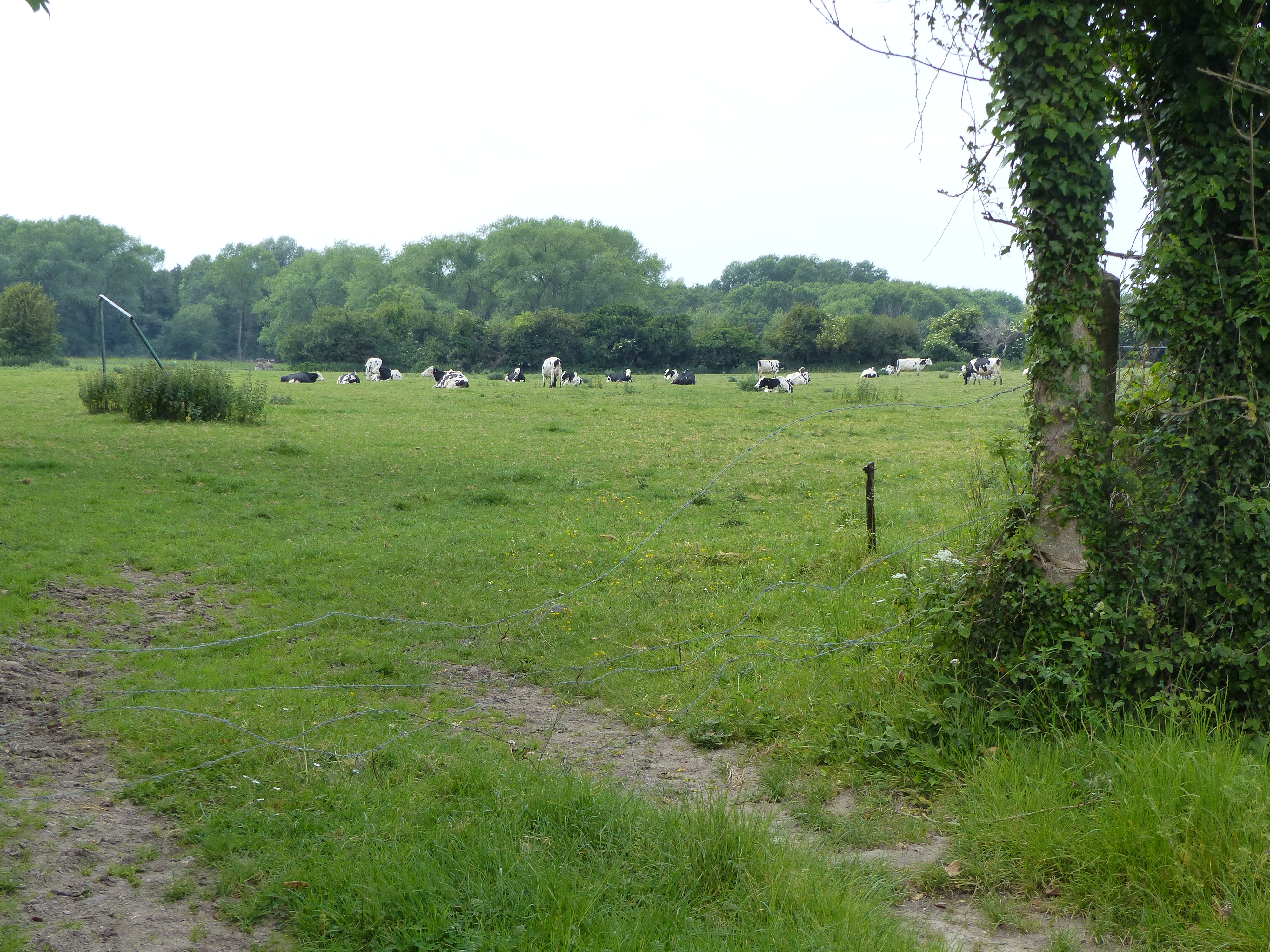 Image 15