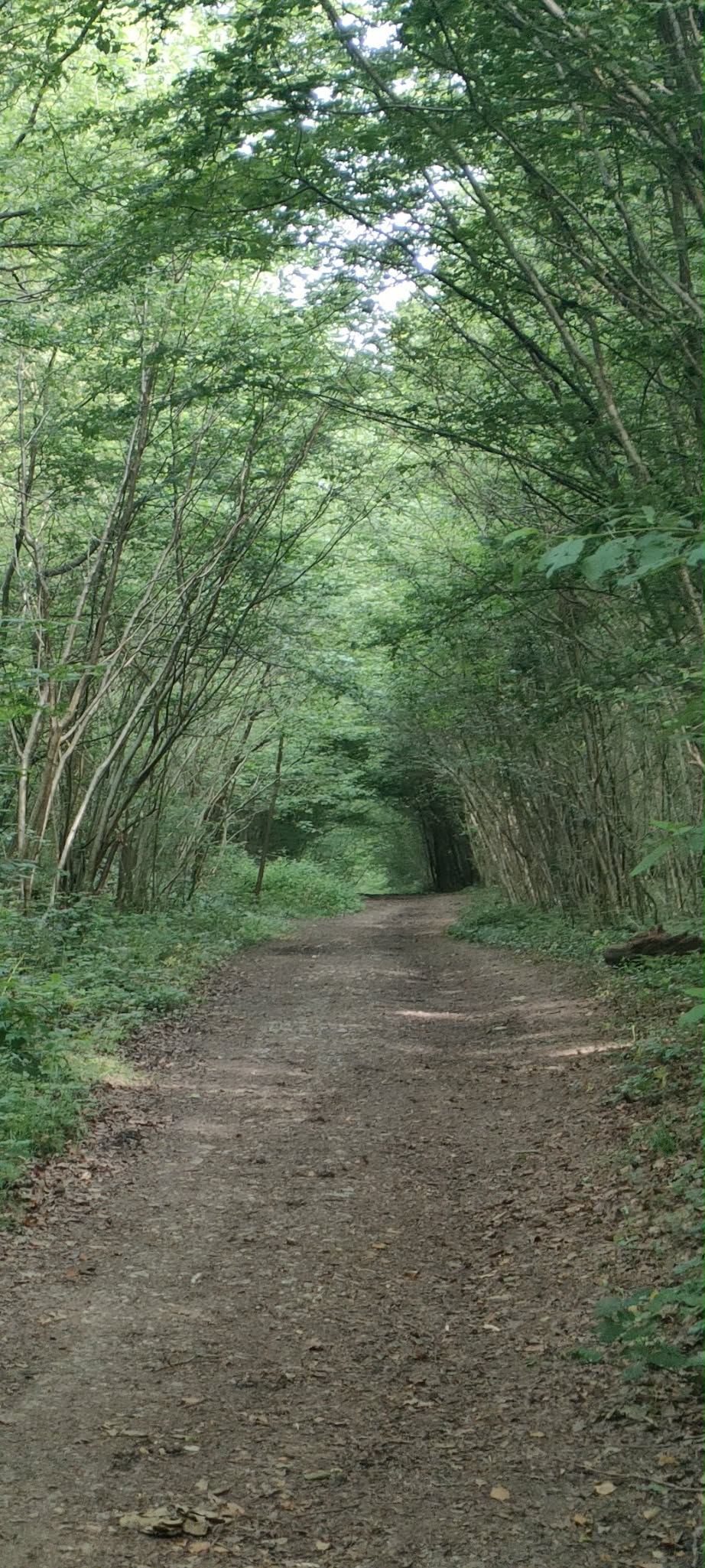 Image 203