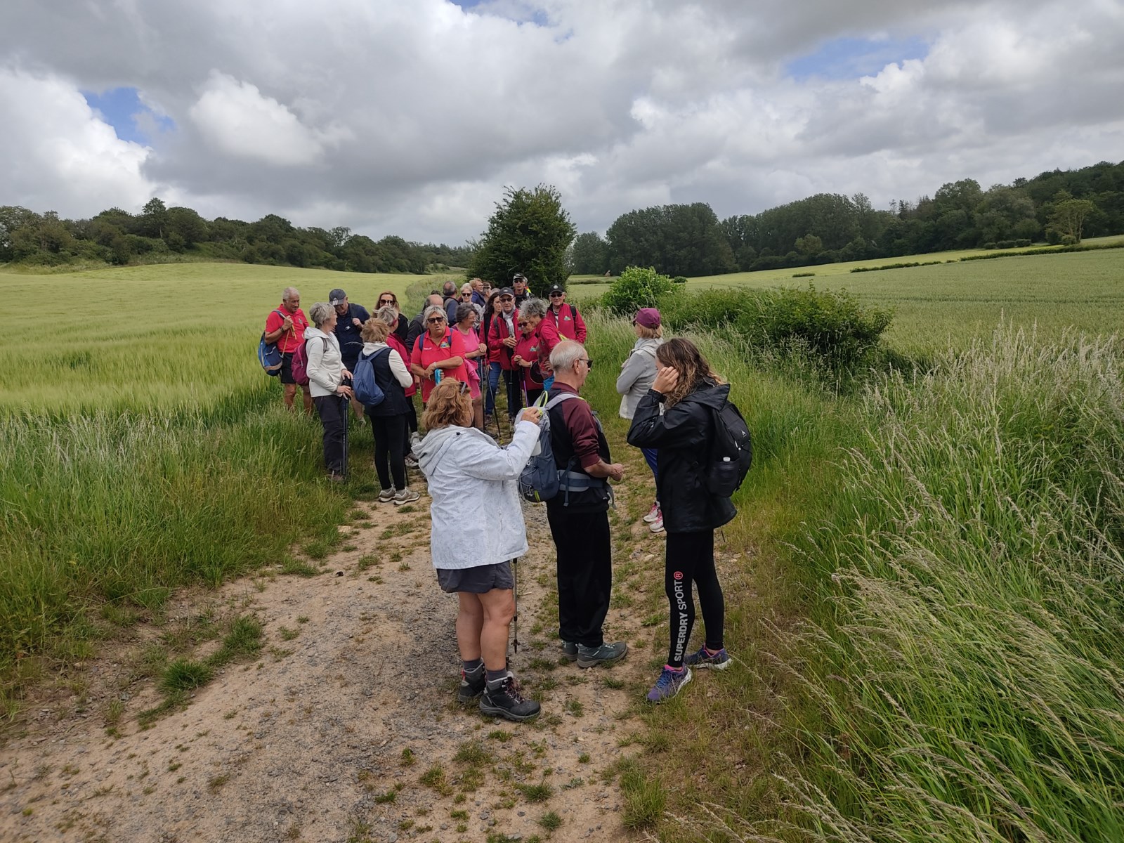 Image 155