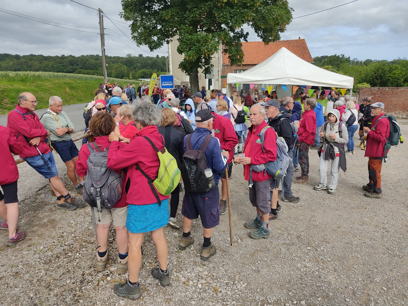 Image 85