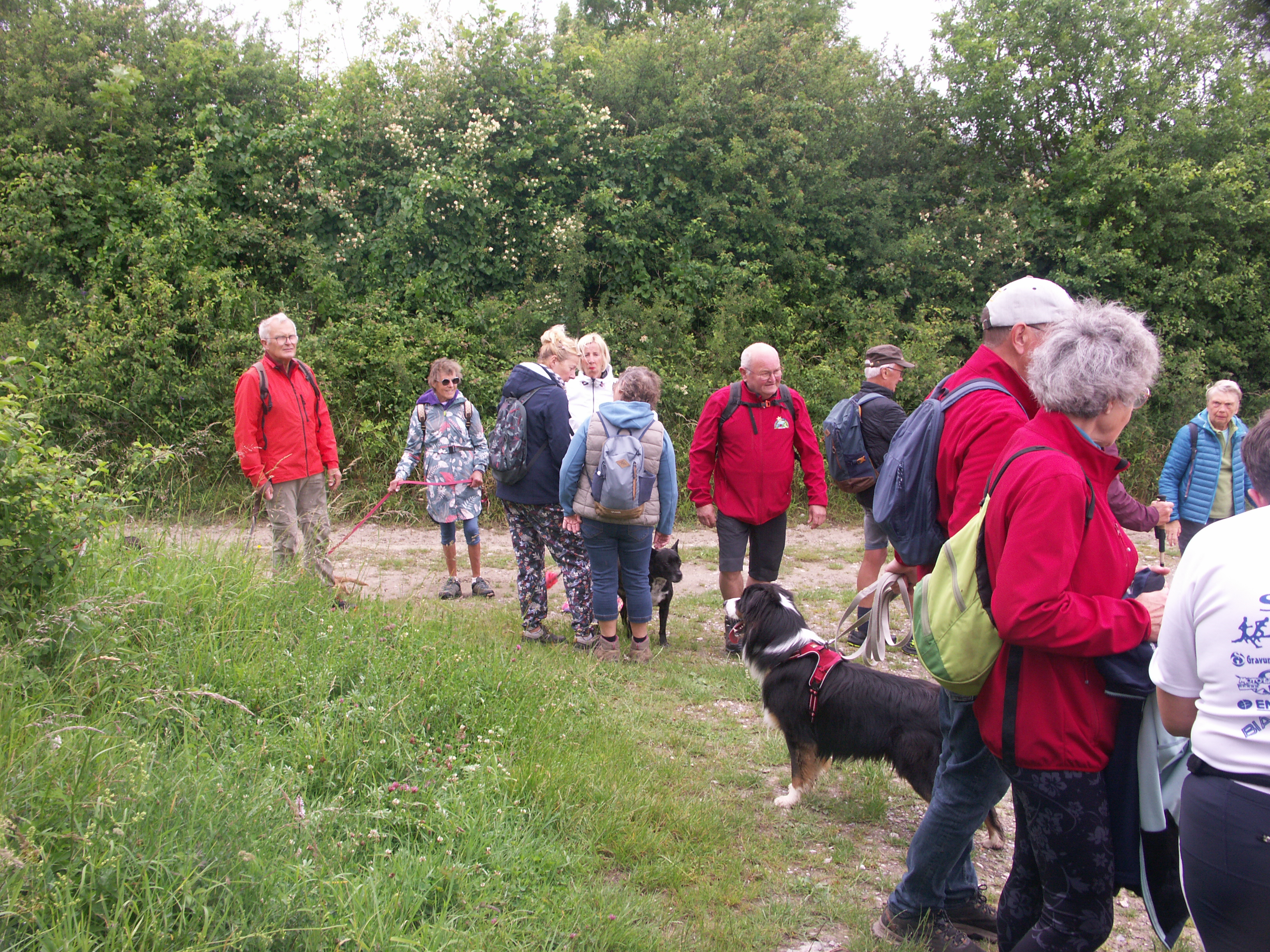 Image 133