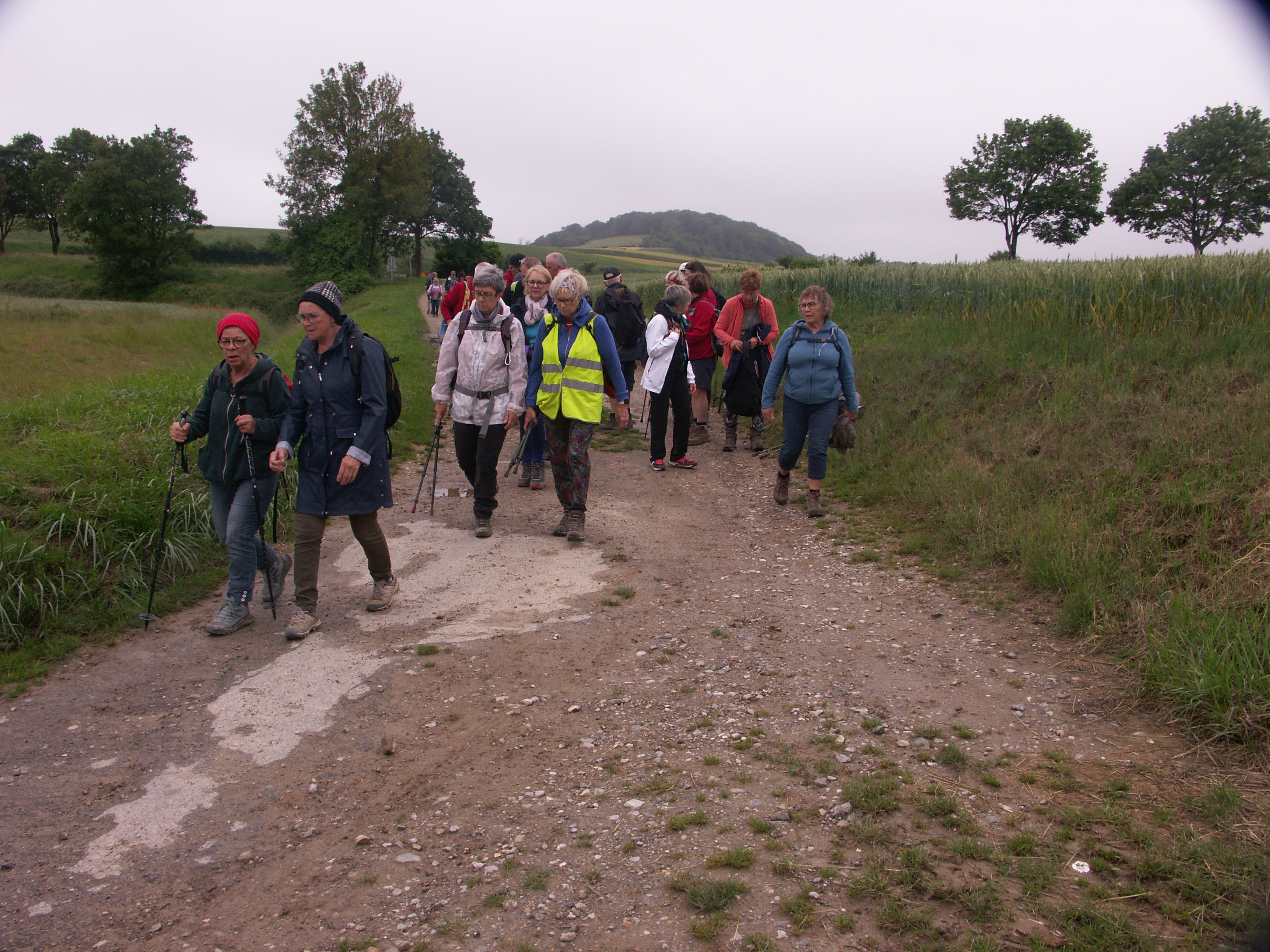 Image 67