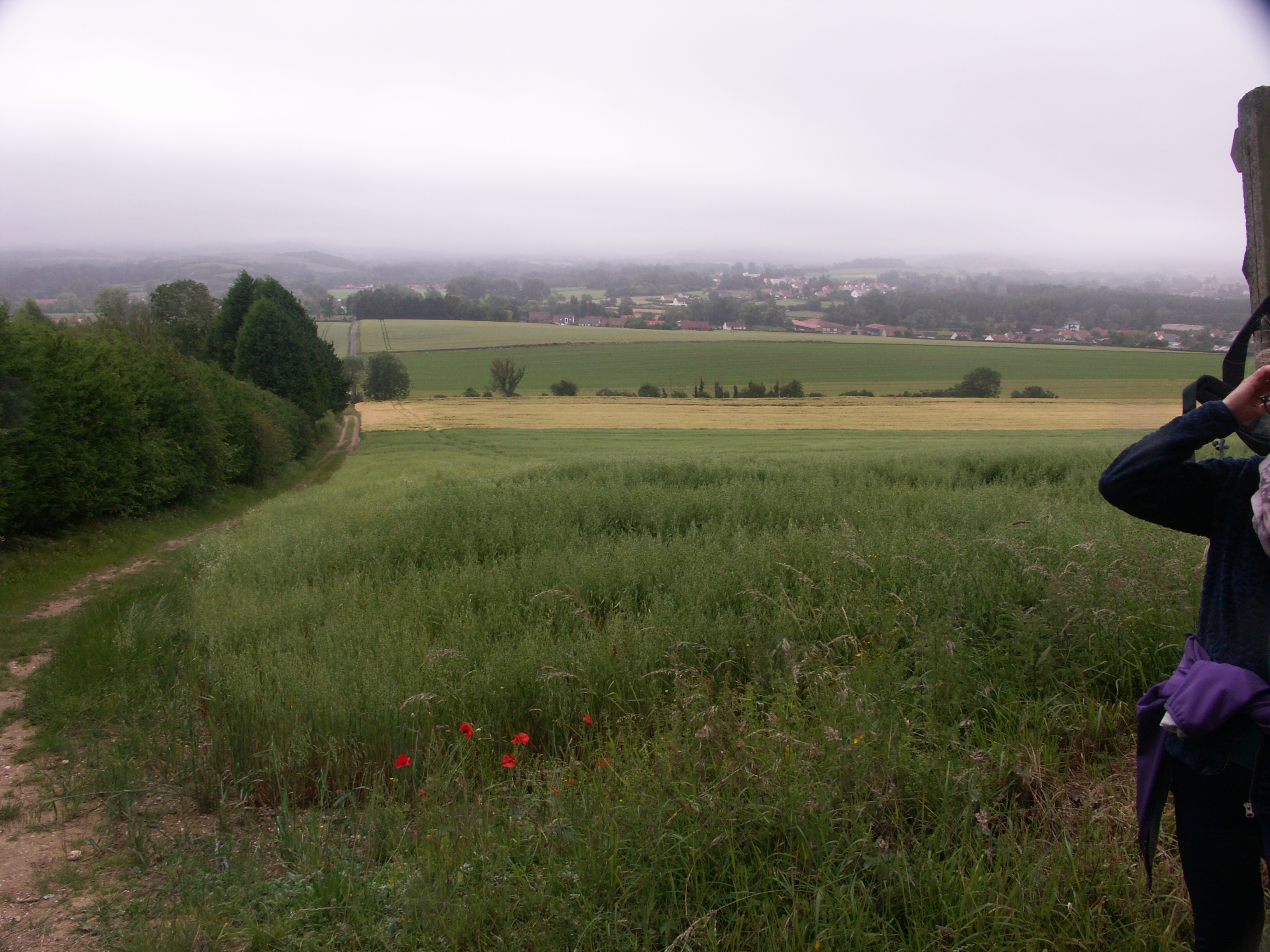 Image 46