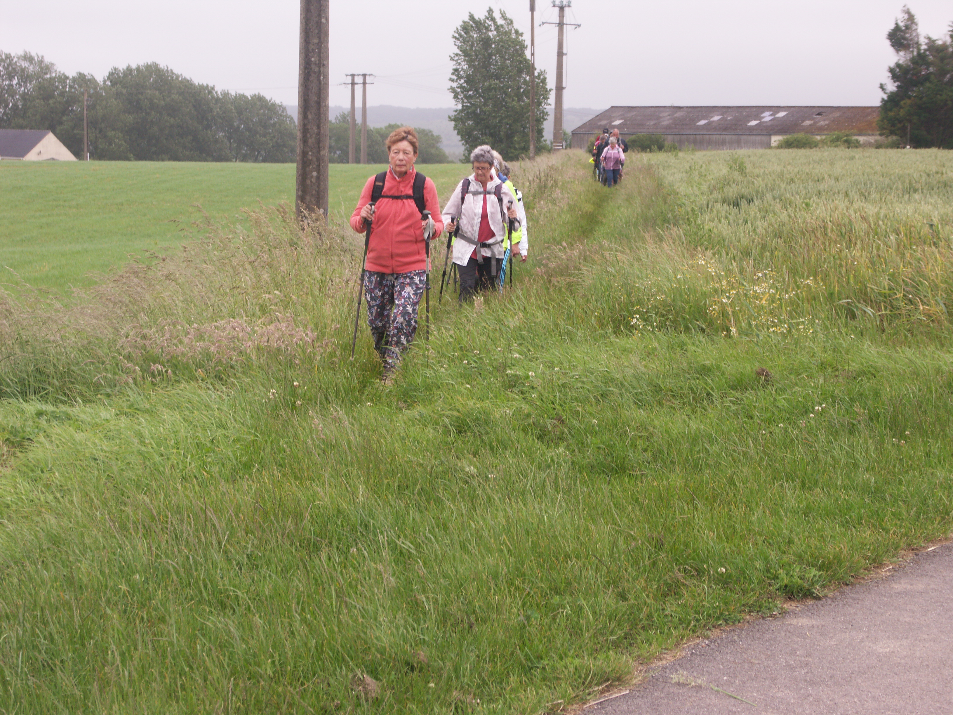 Image 139