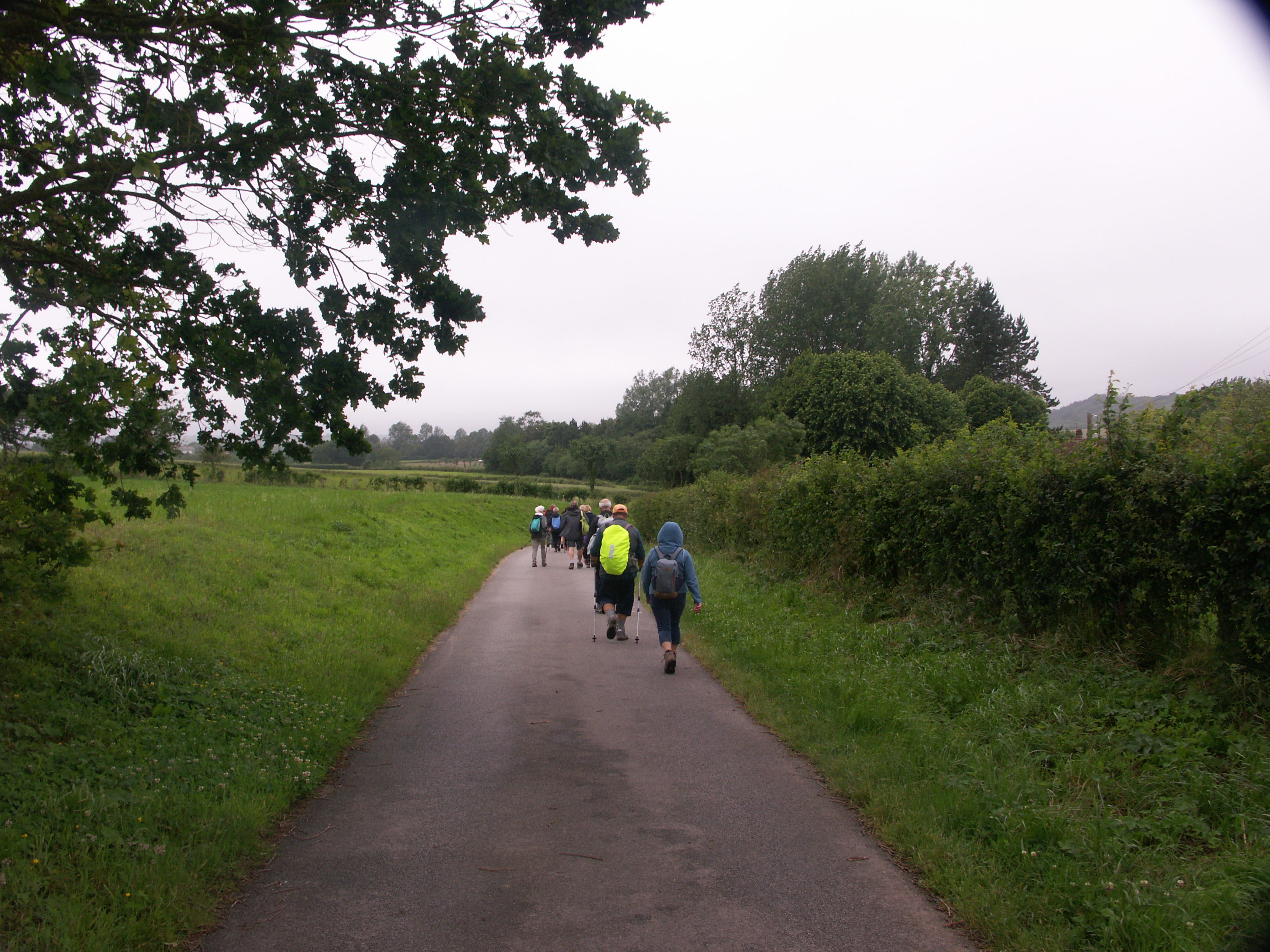 Image 234