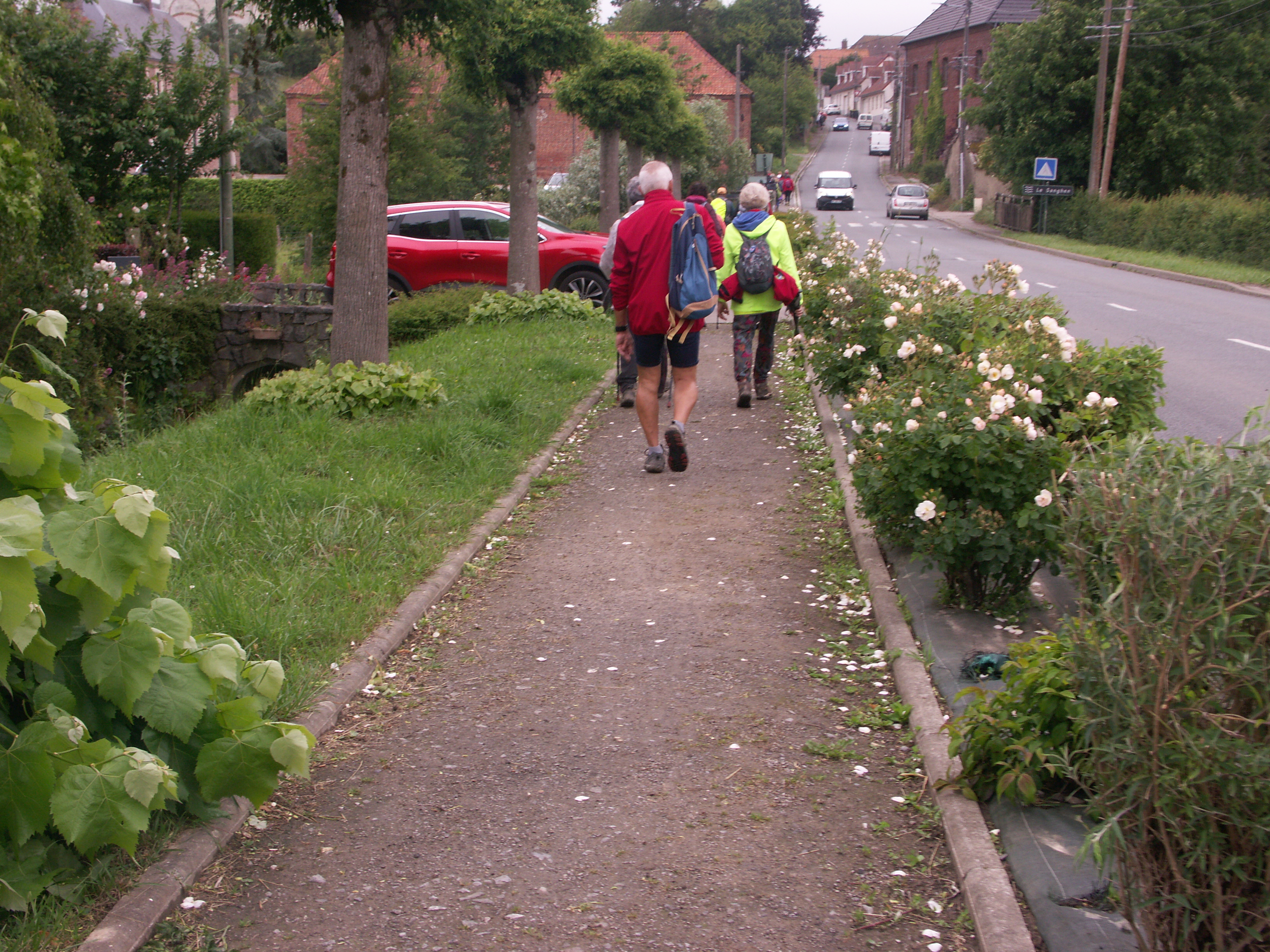 Image 85