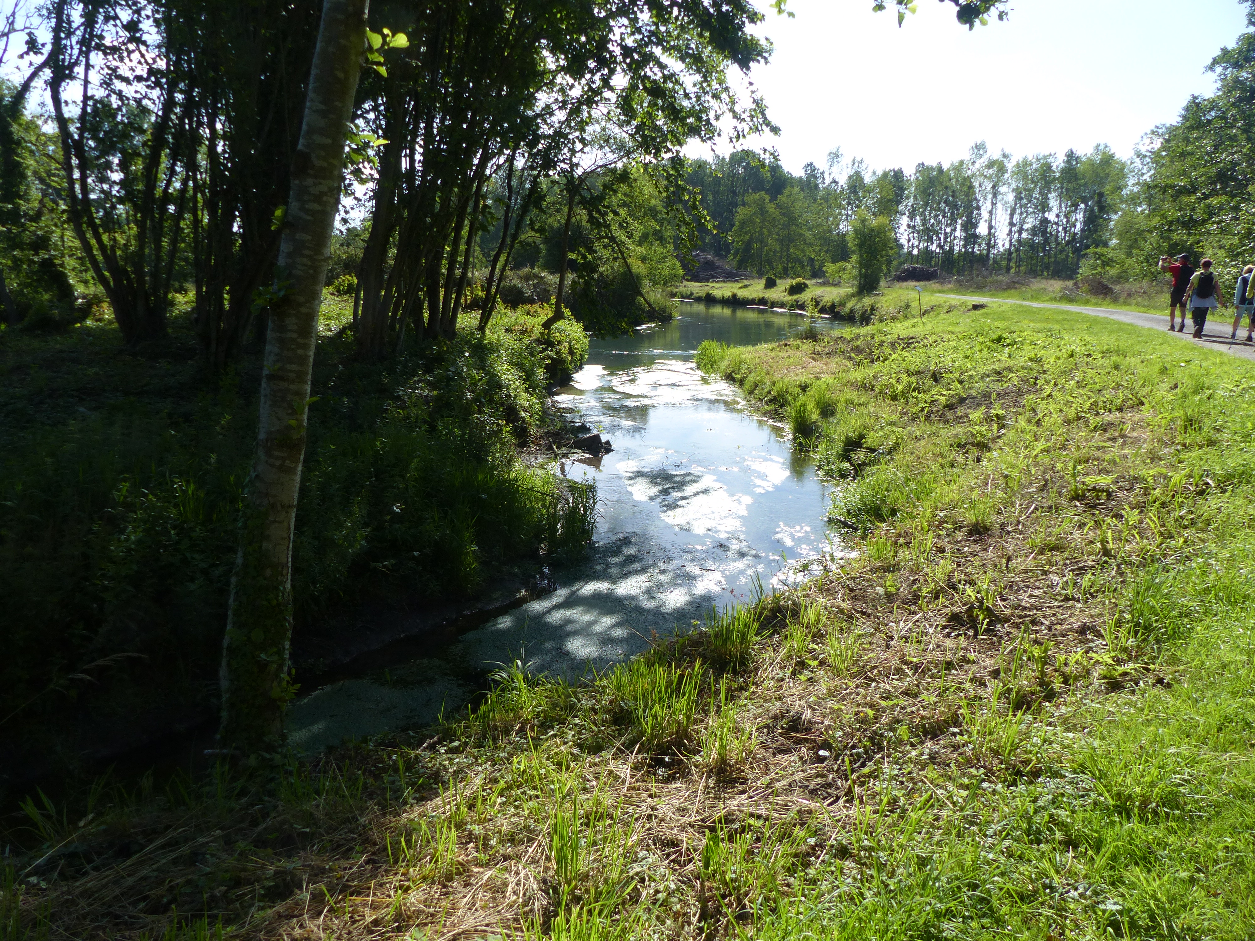 Image 41