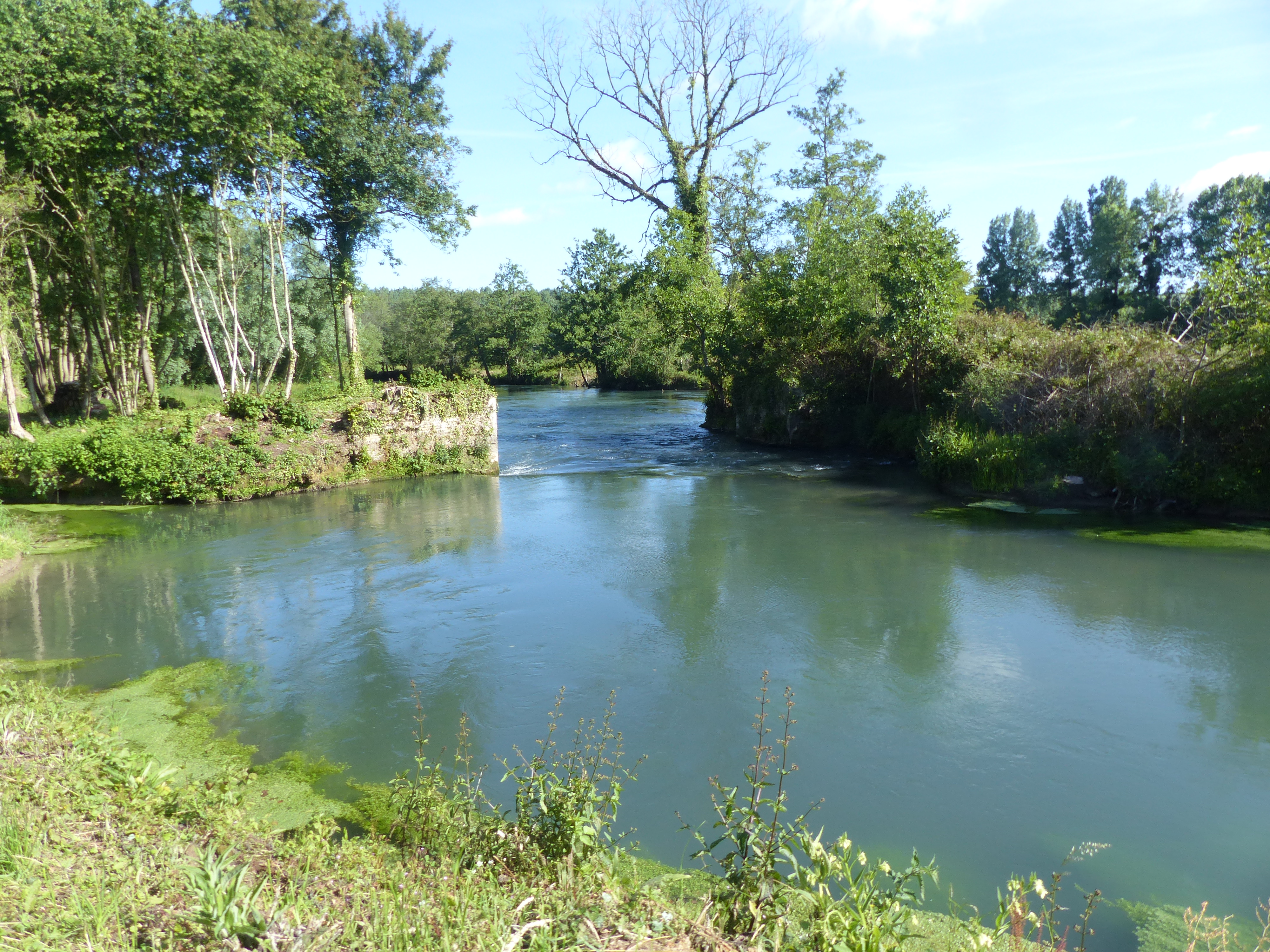 Image 115