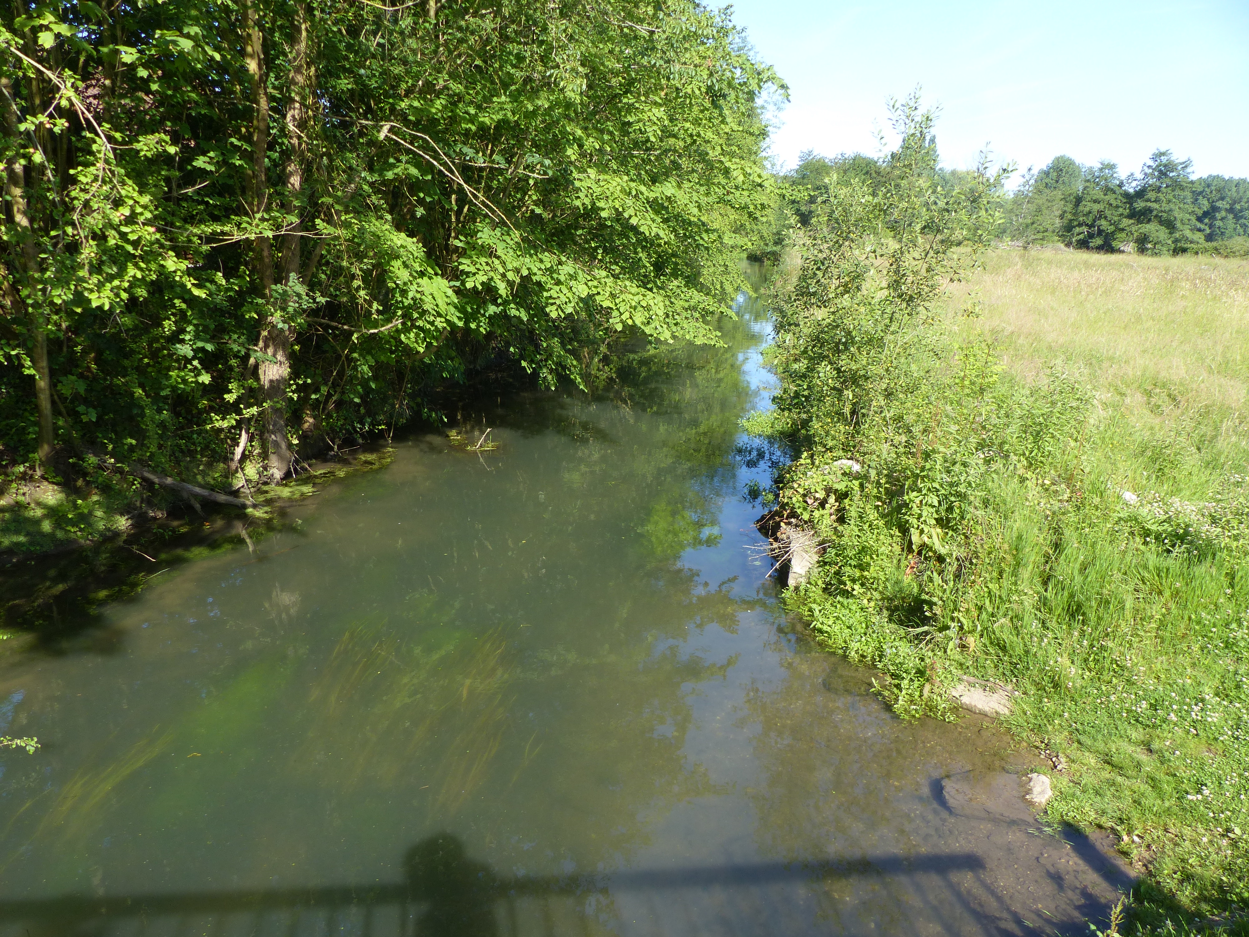 Image 240
