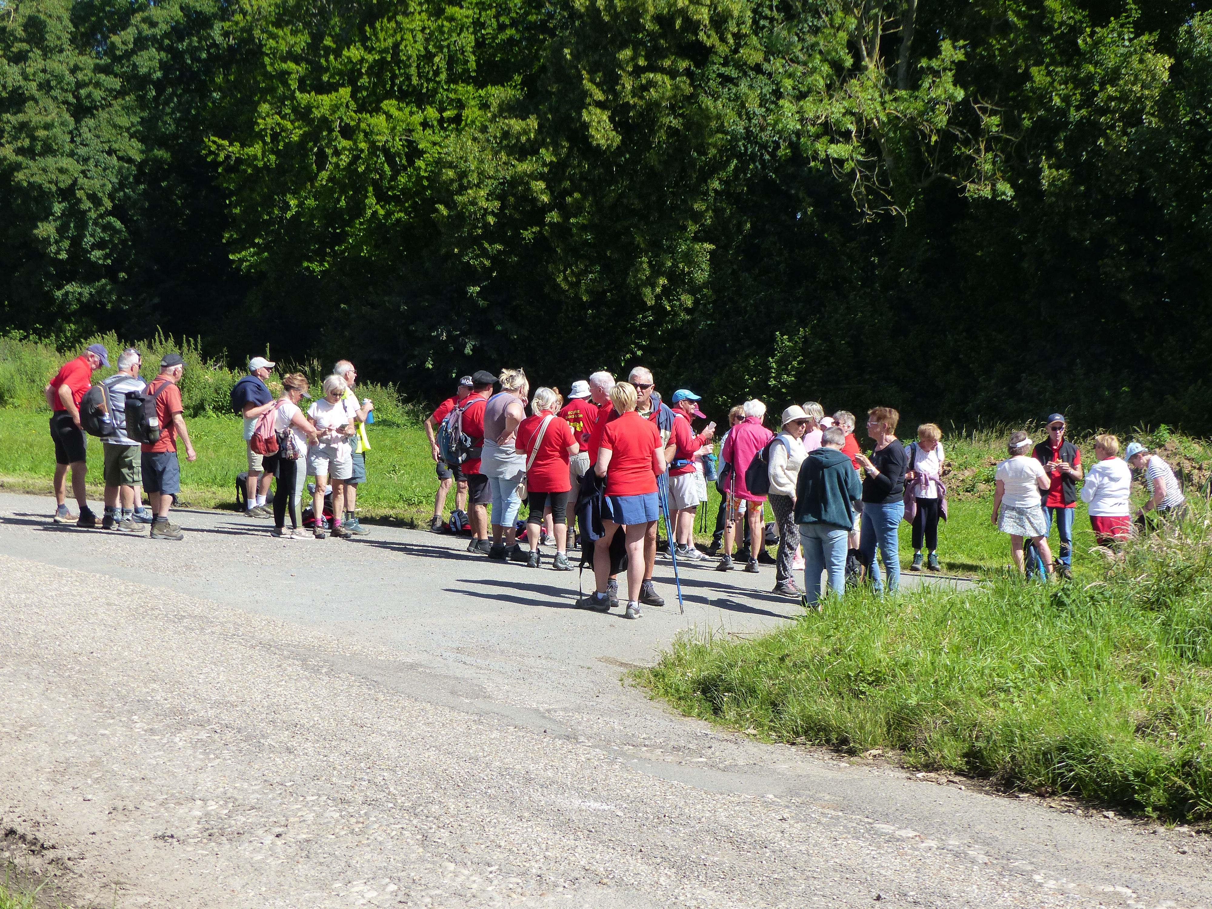 Image 80