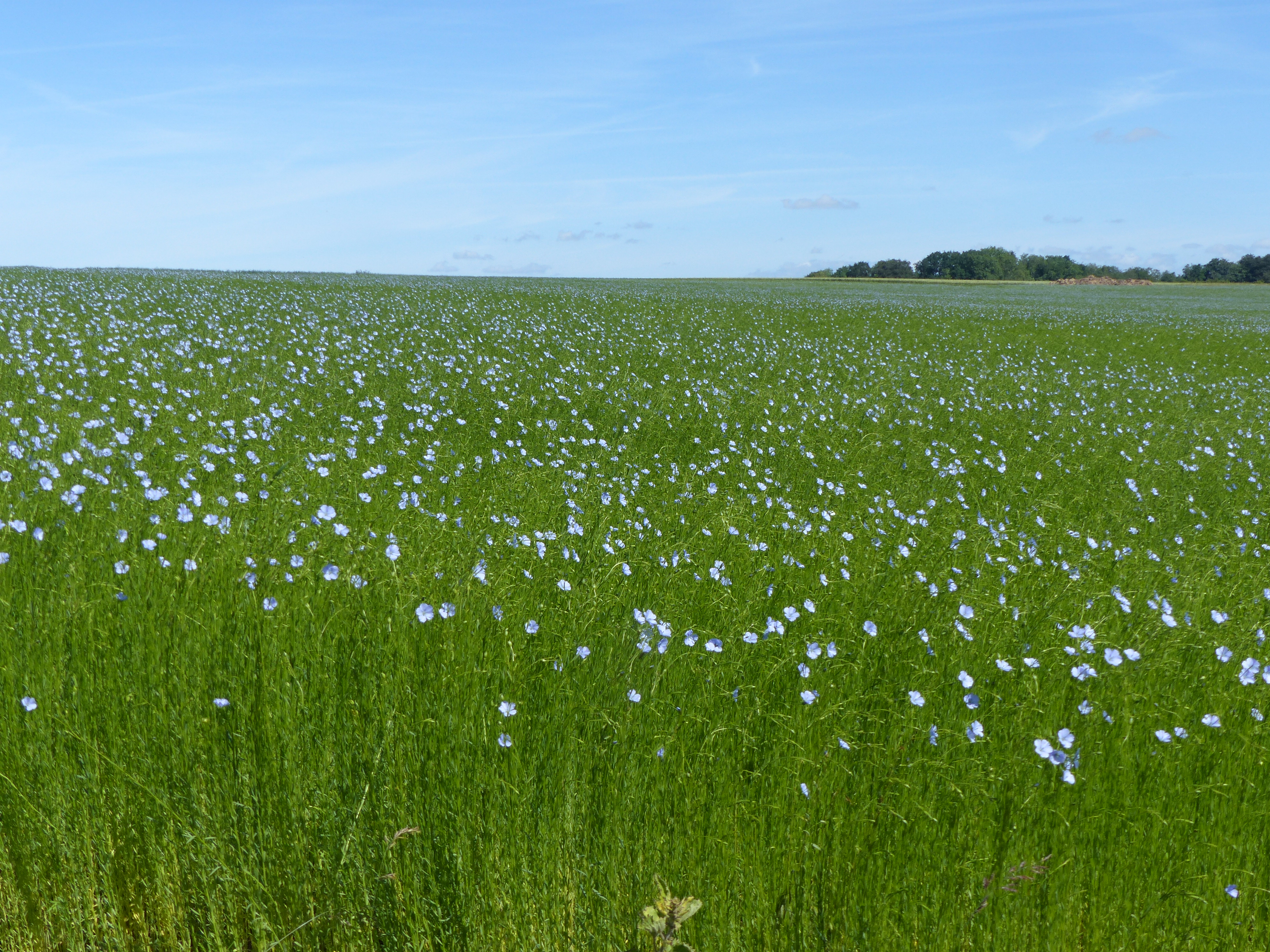 Image 70