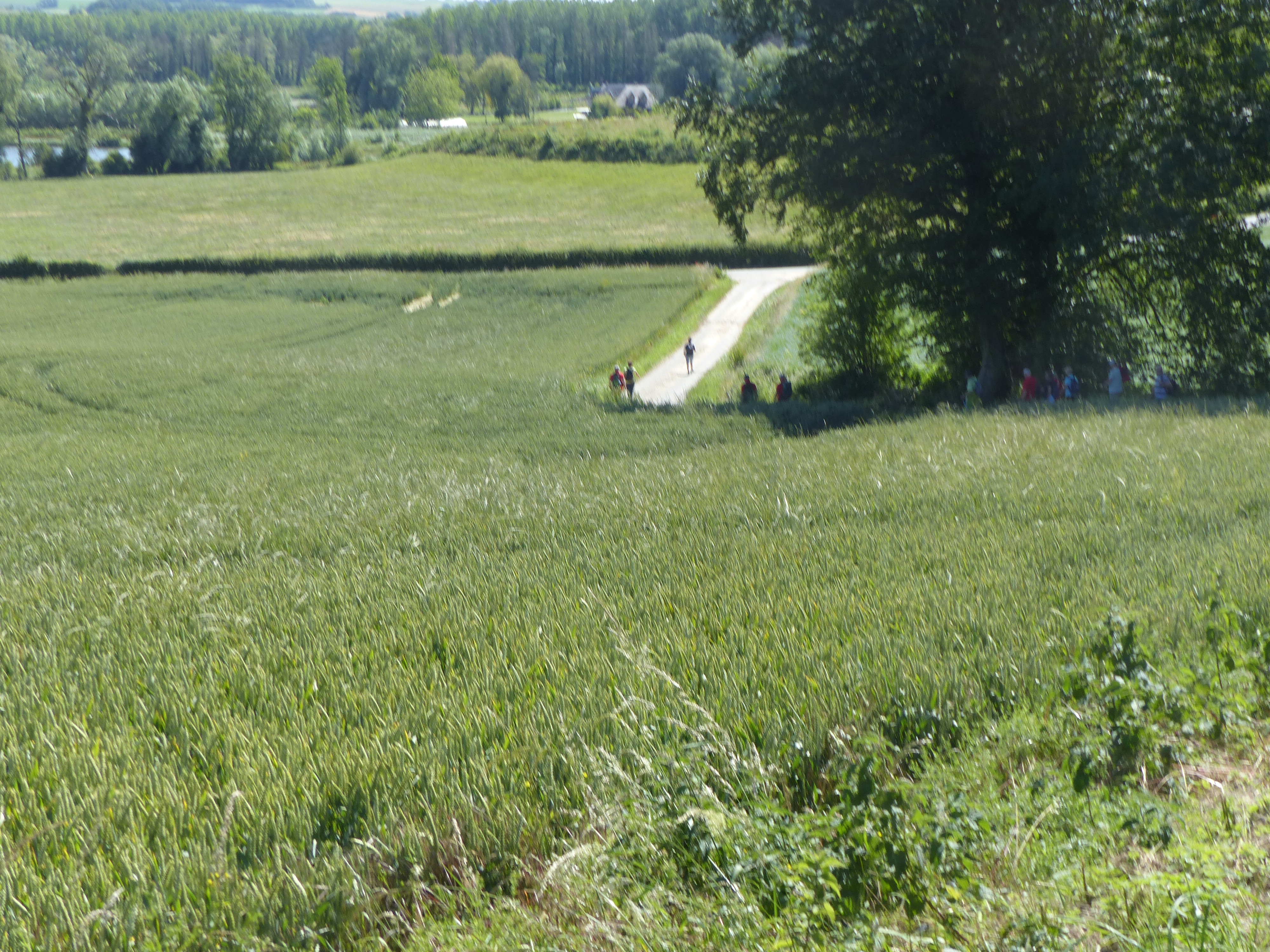 Image 170