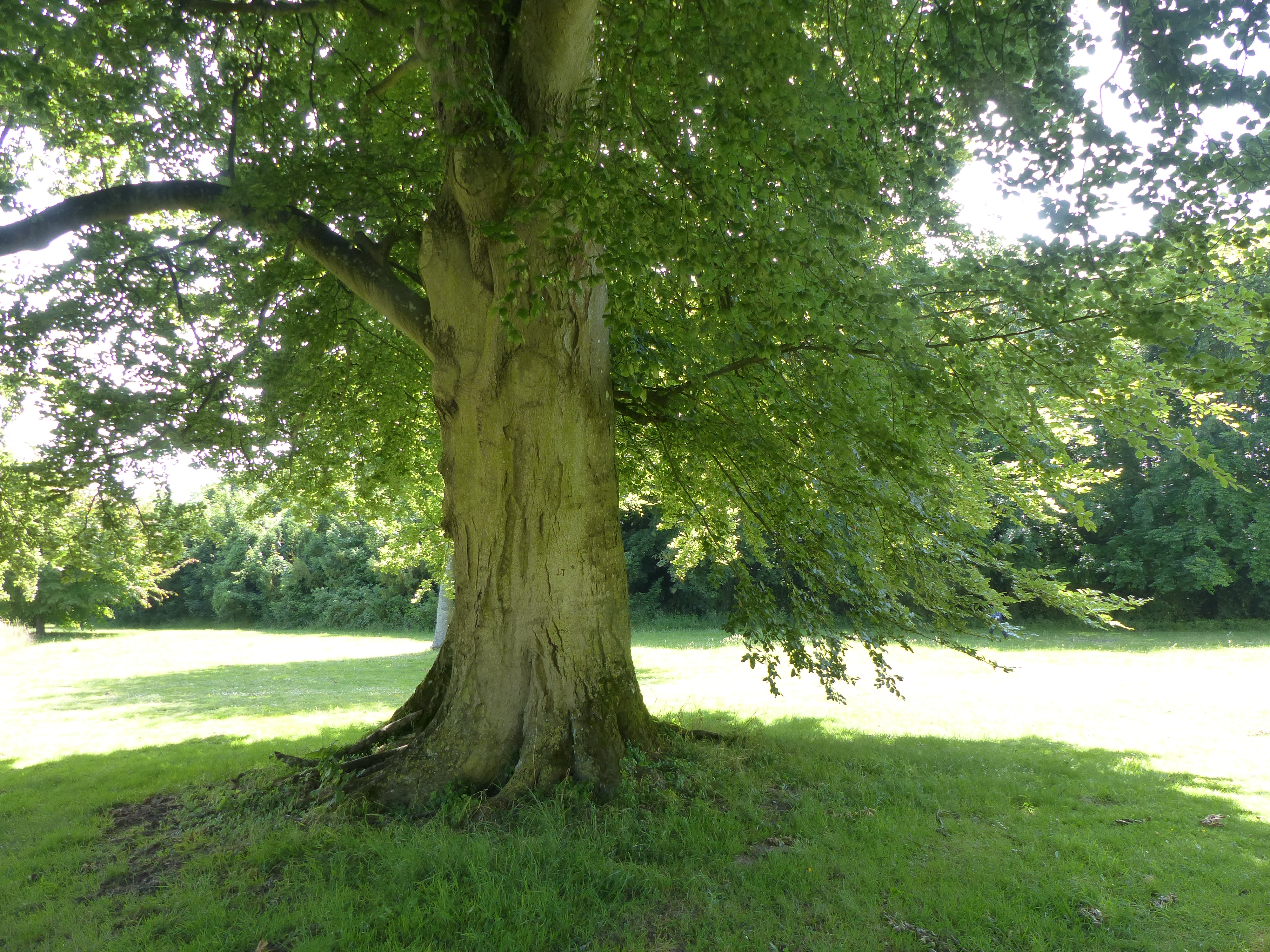 Image 15