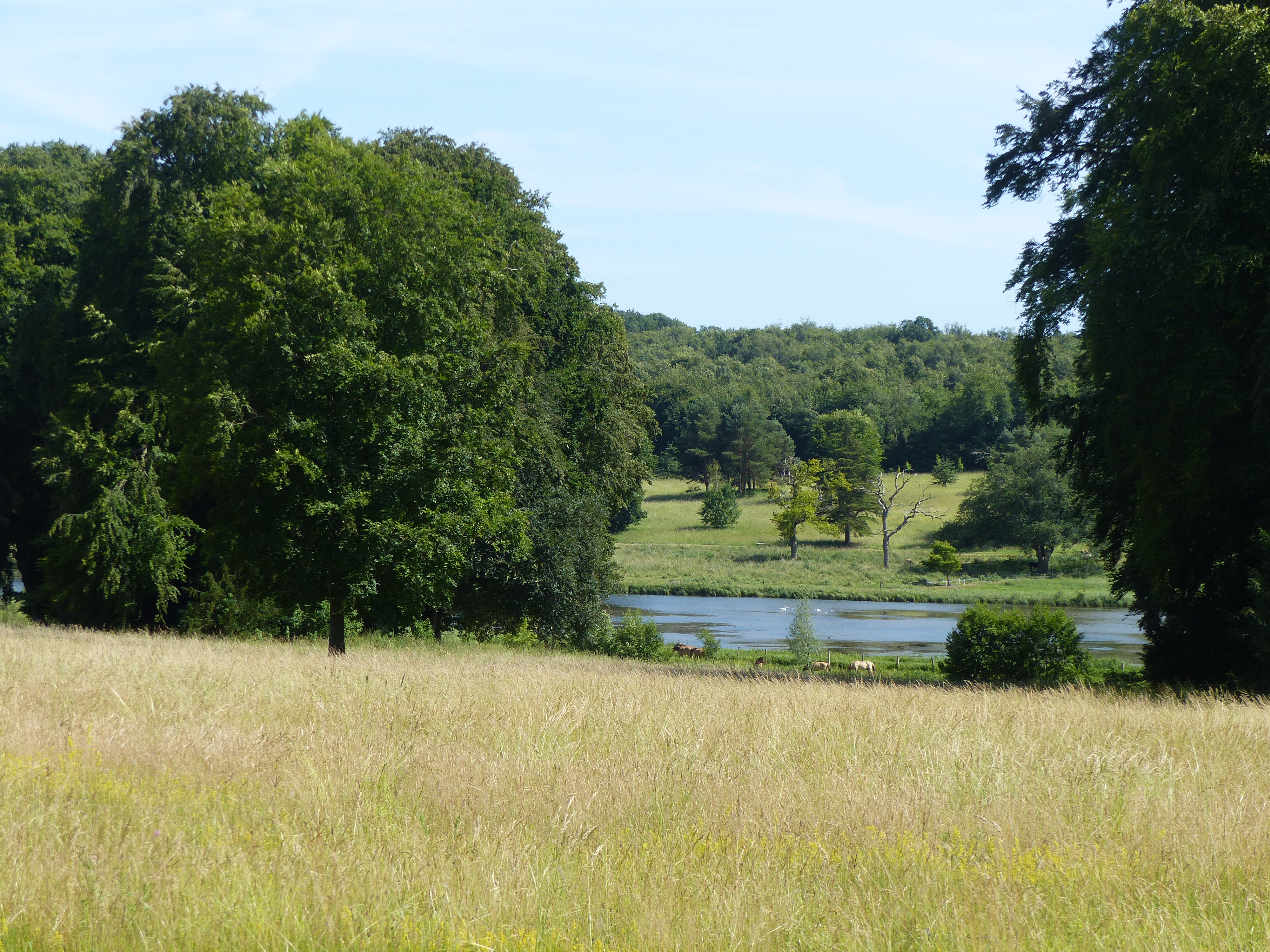 Image 205