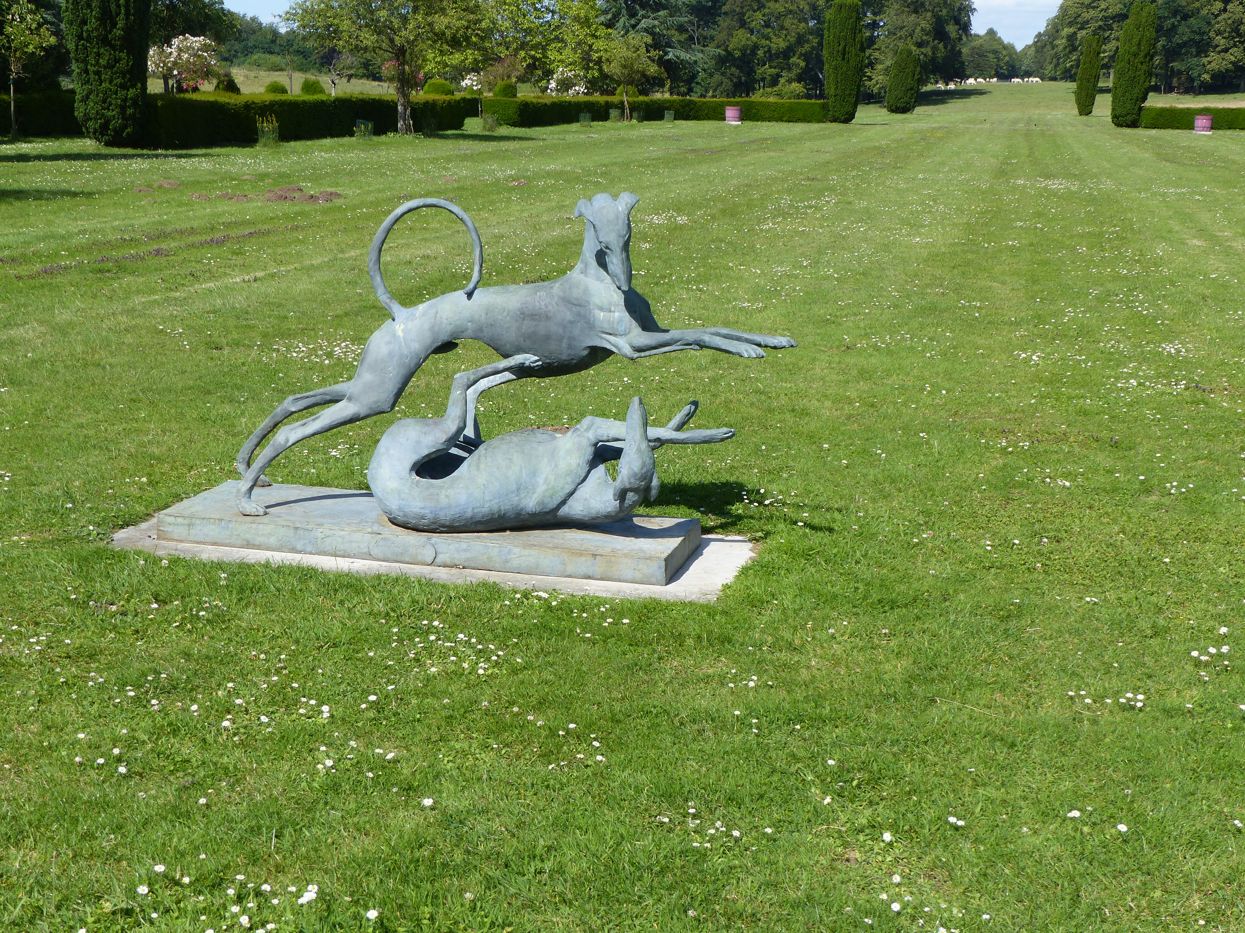 Image 61