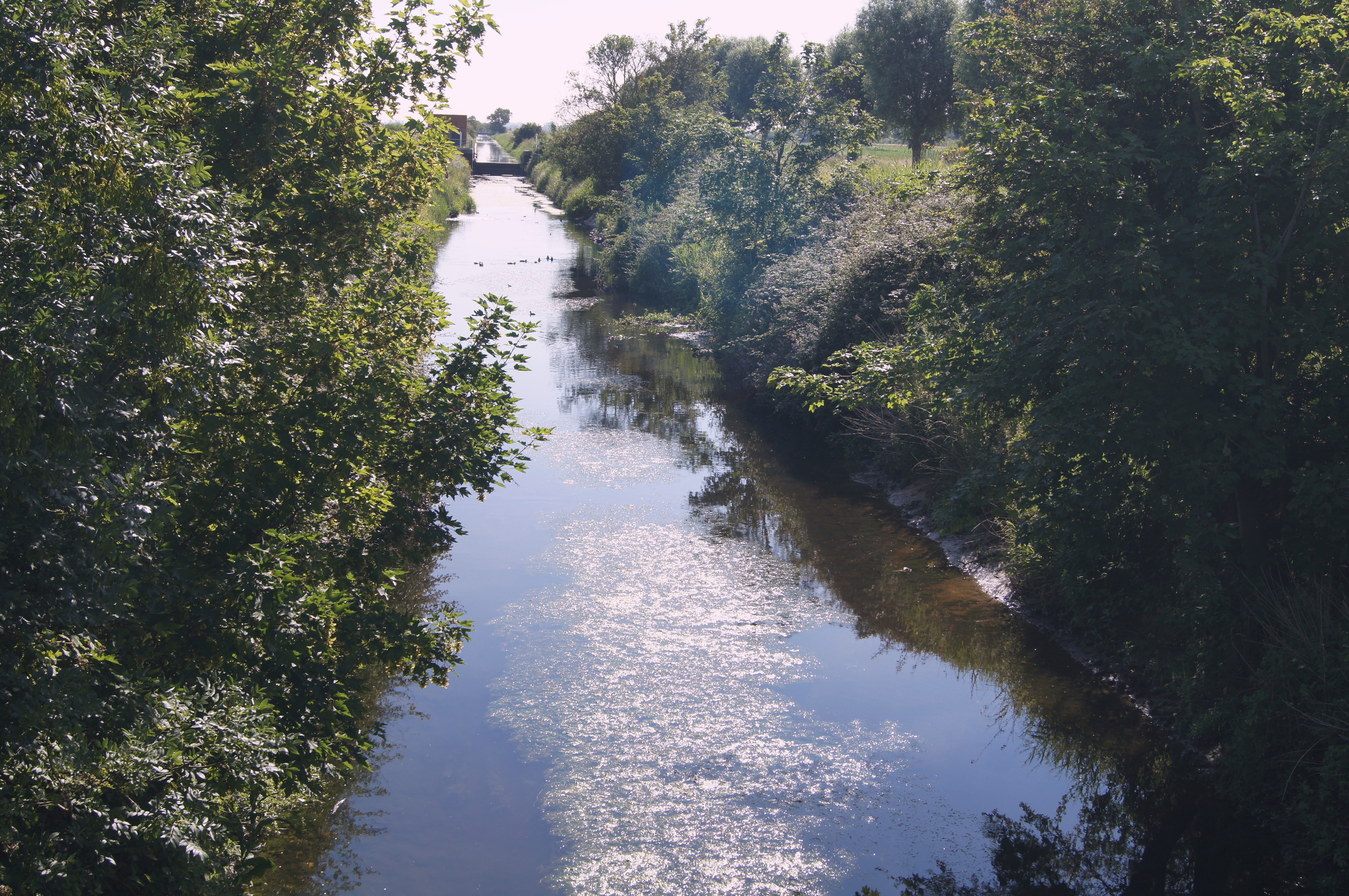 Image 130