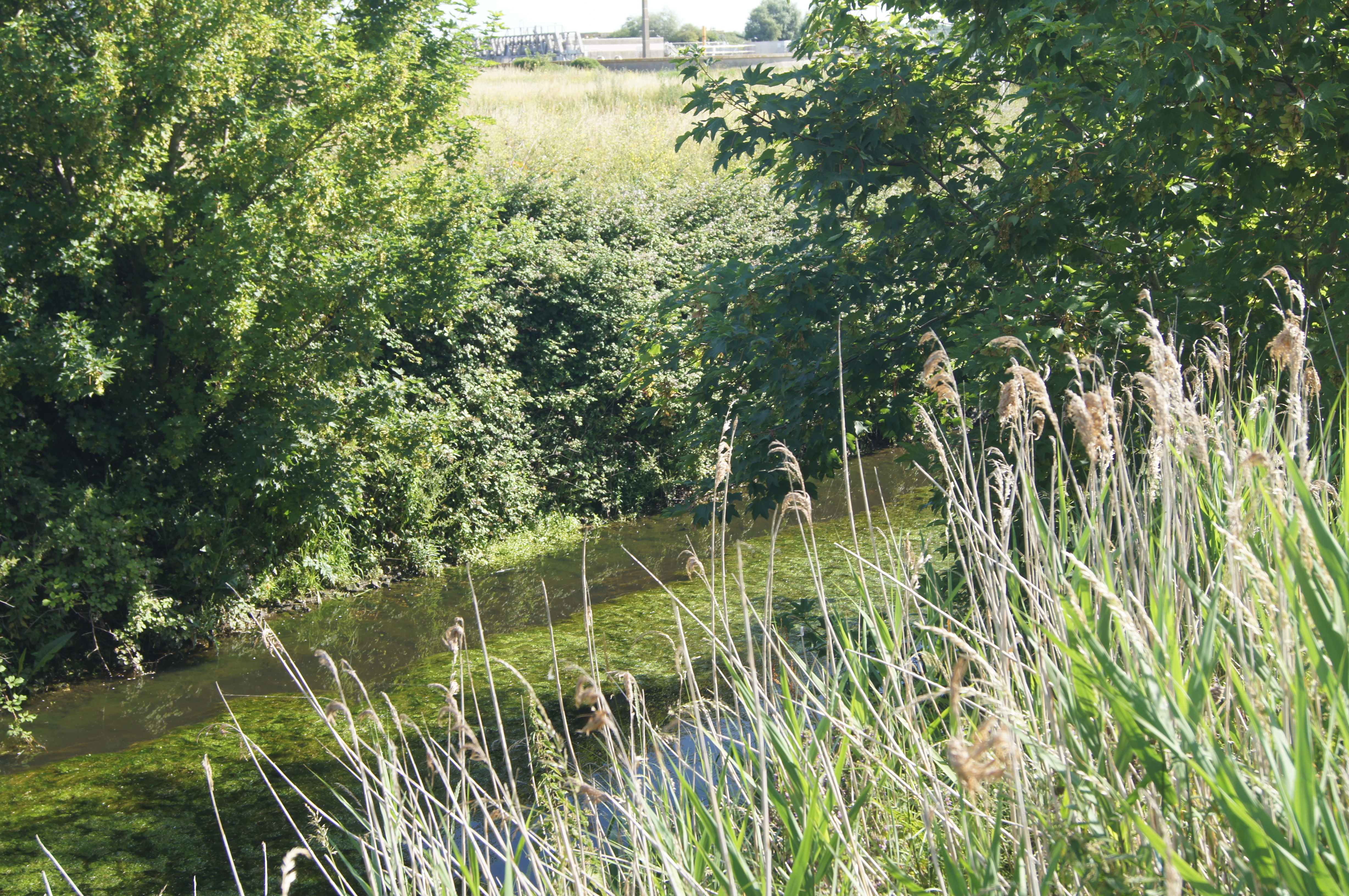 Image 120