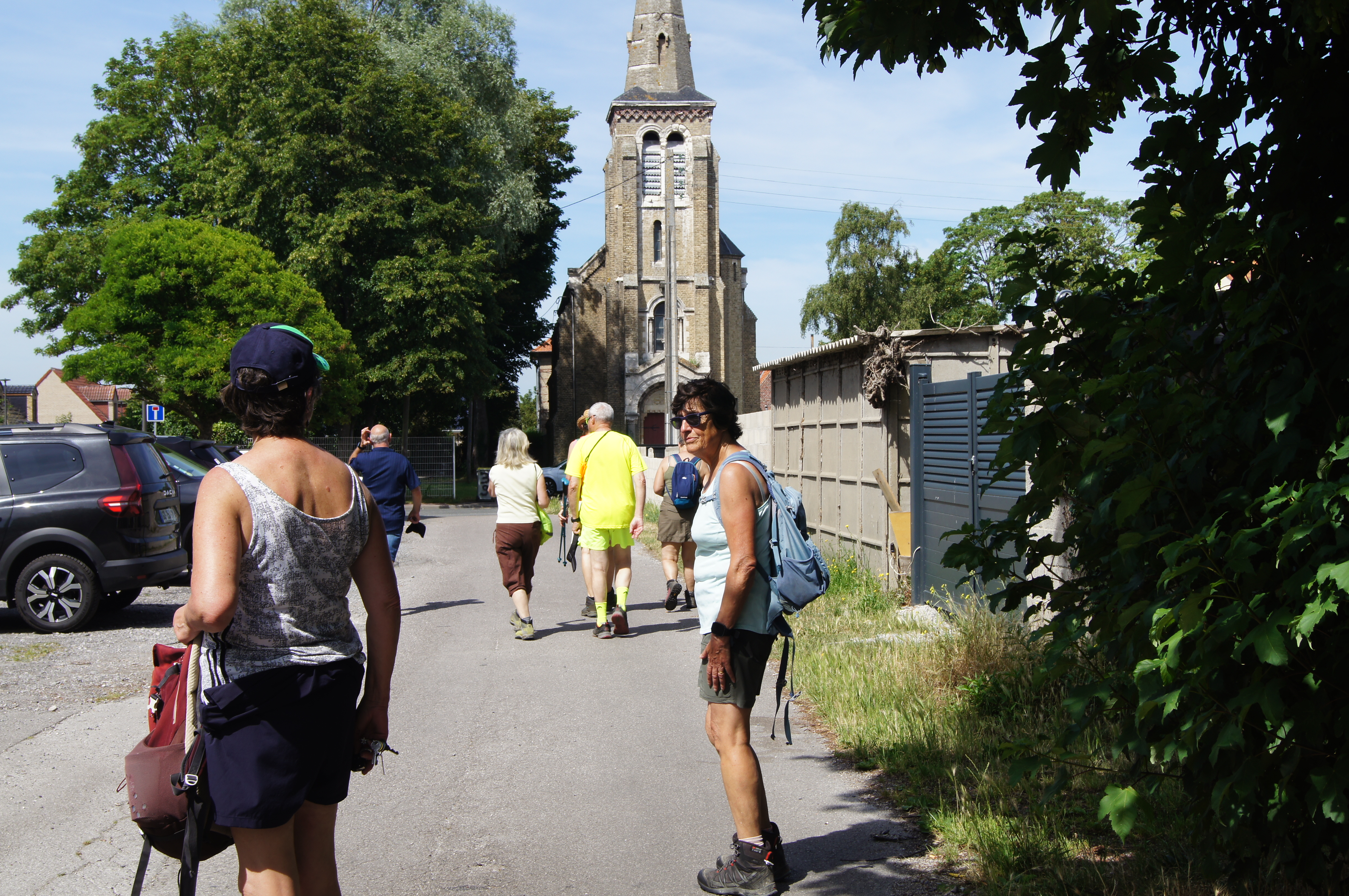 Image 254
