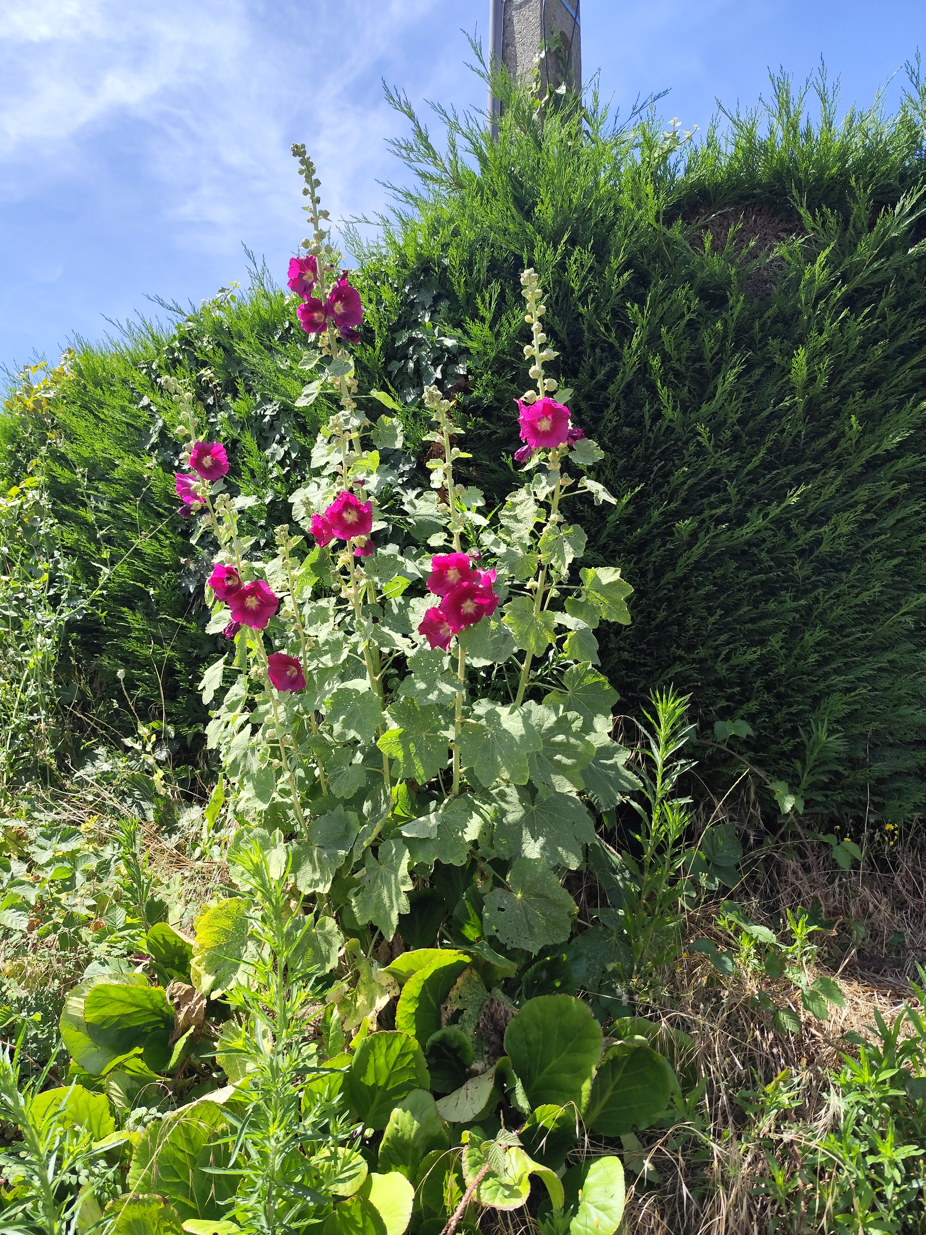 Image 92