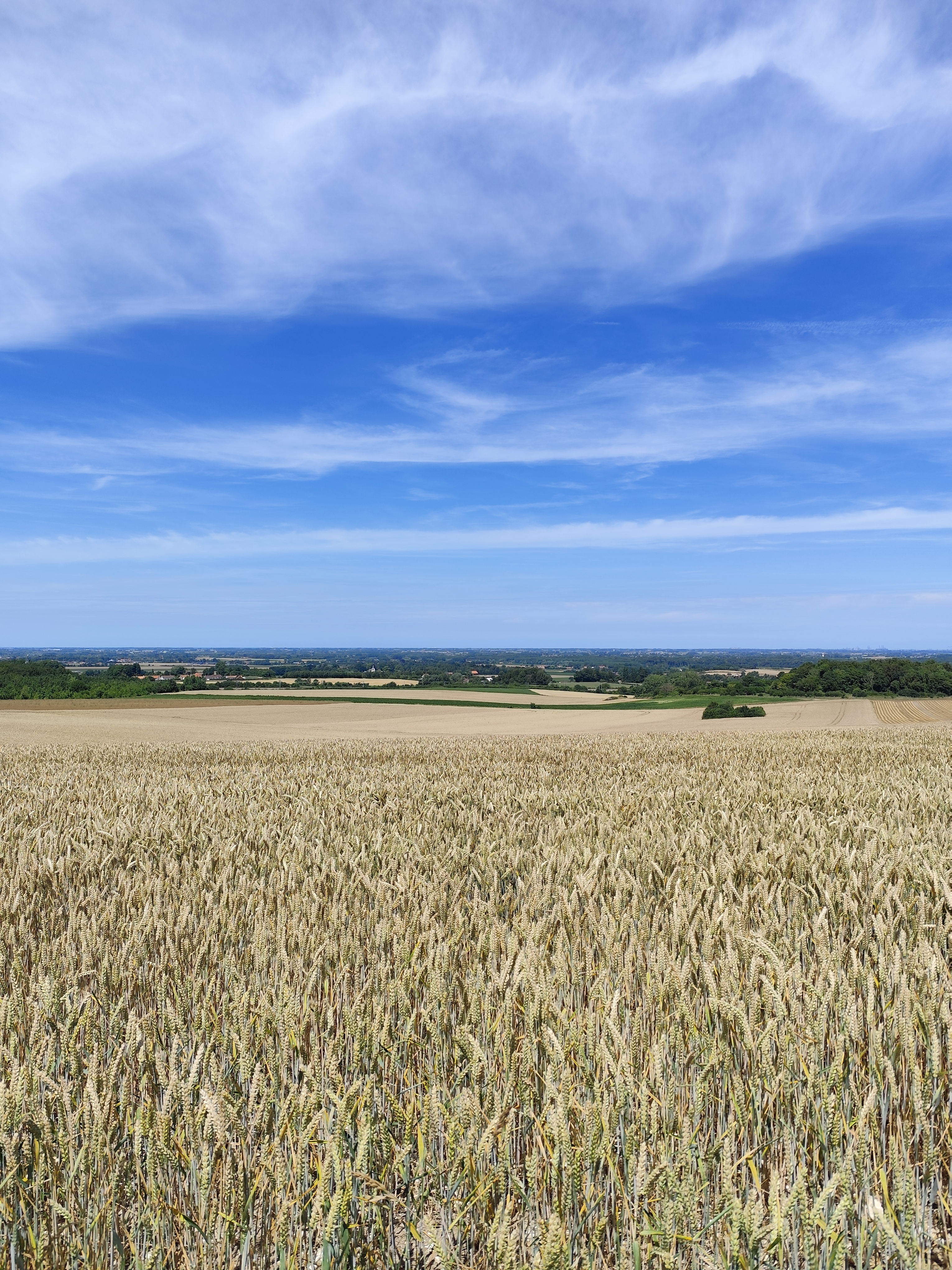 Image 88