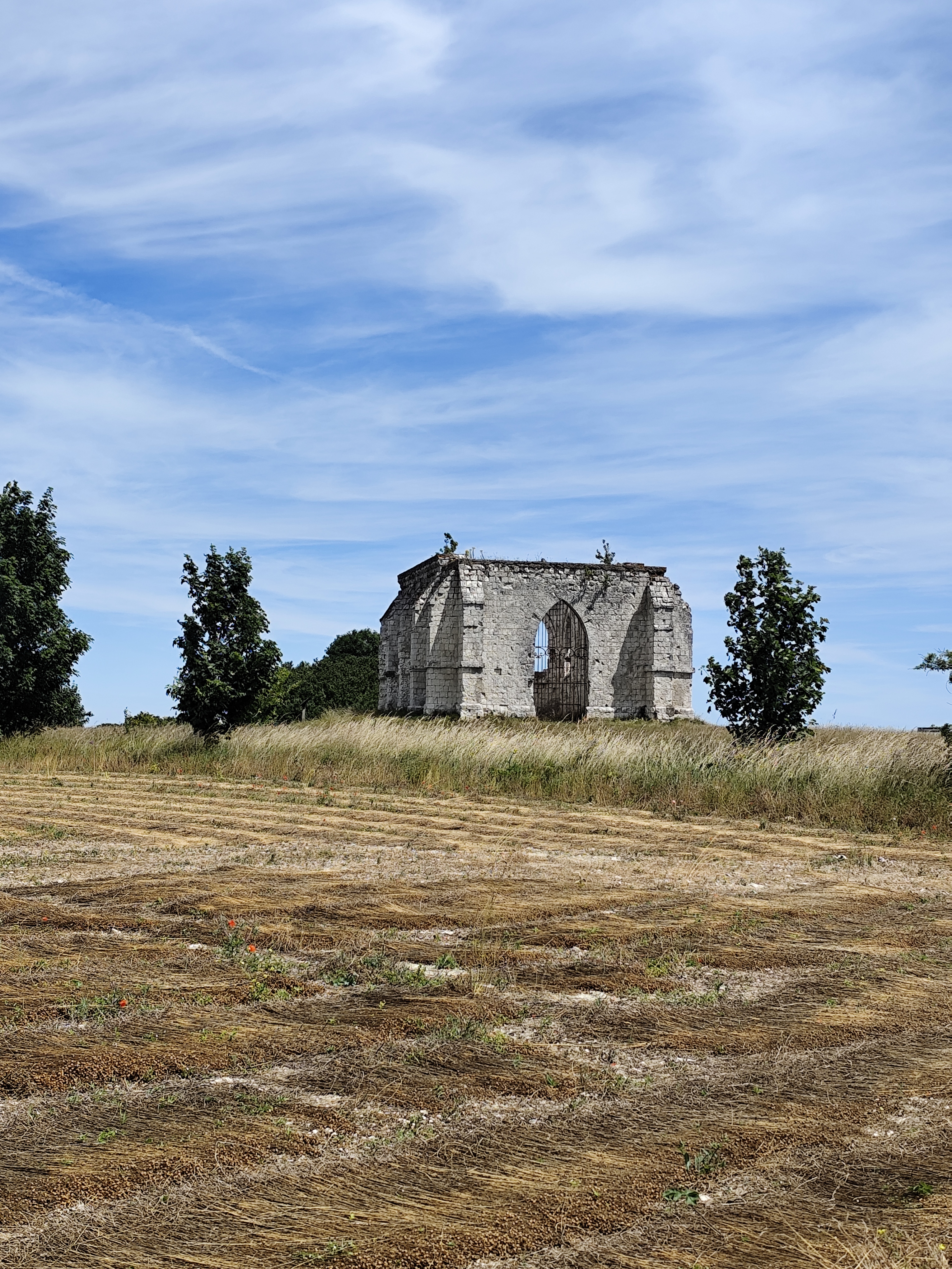 Image 63