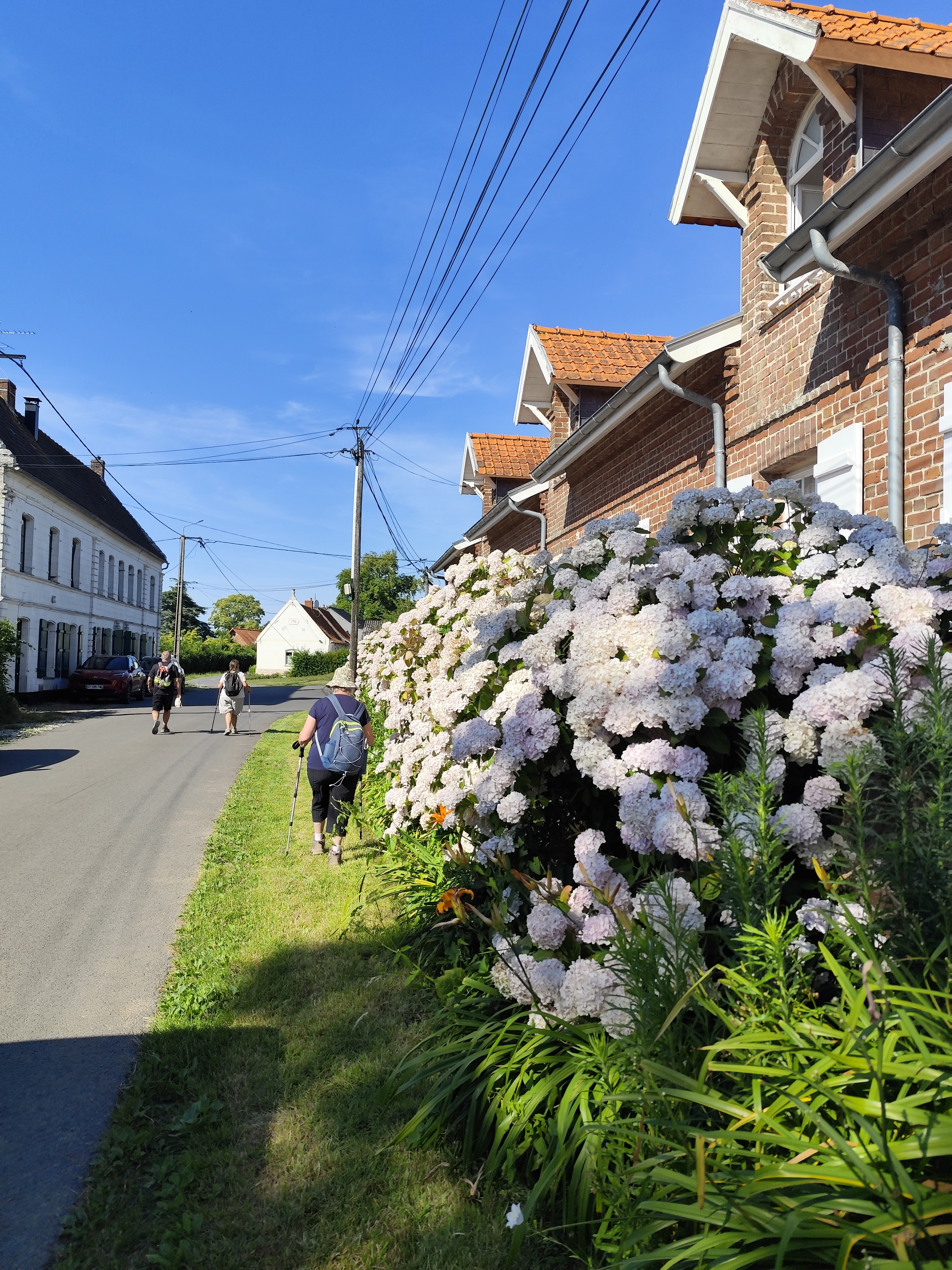 Image 18