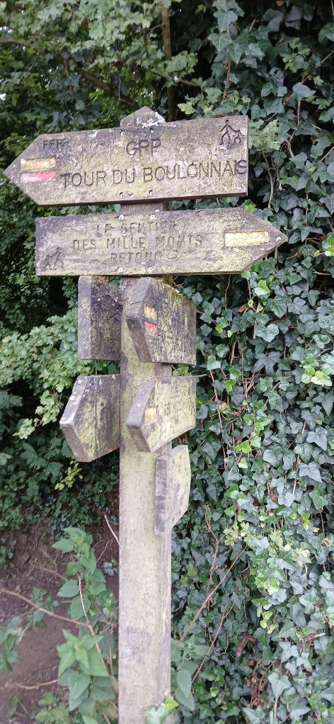 Image 181