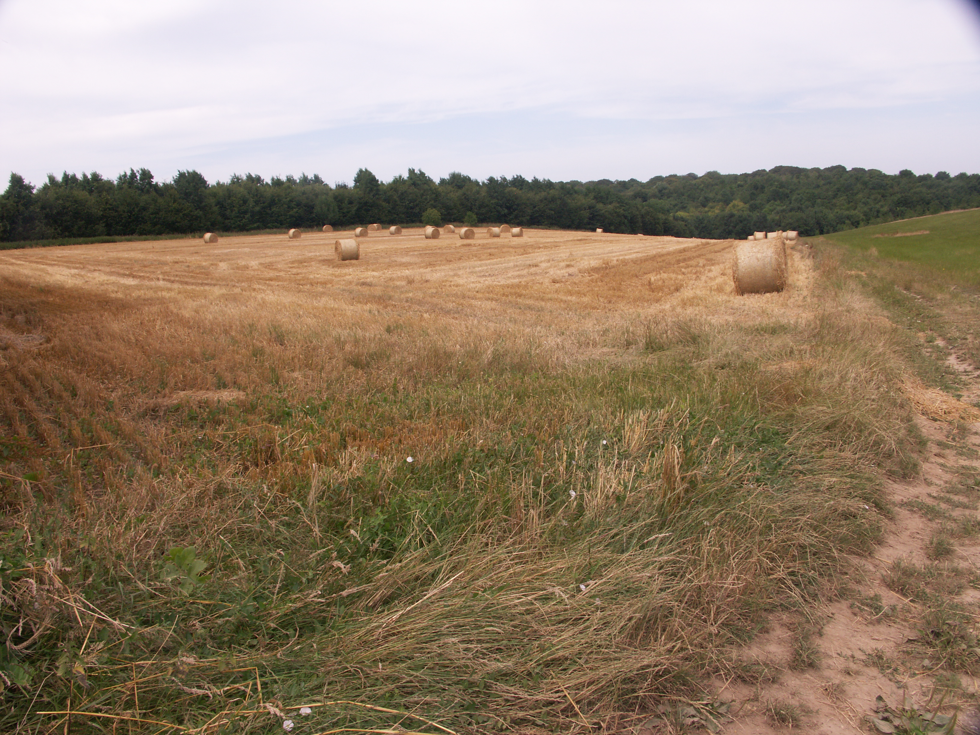 Image 52